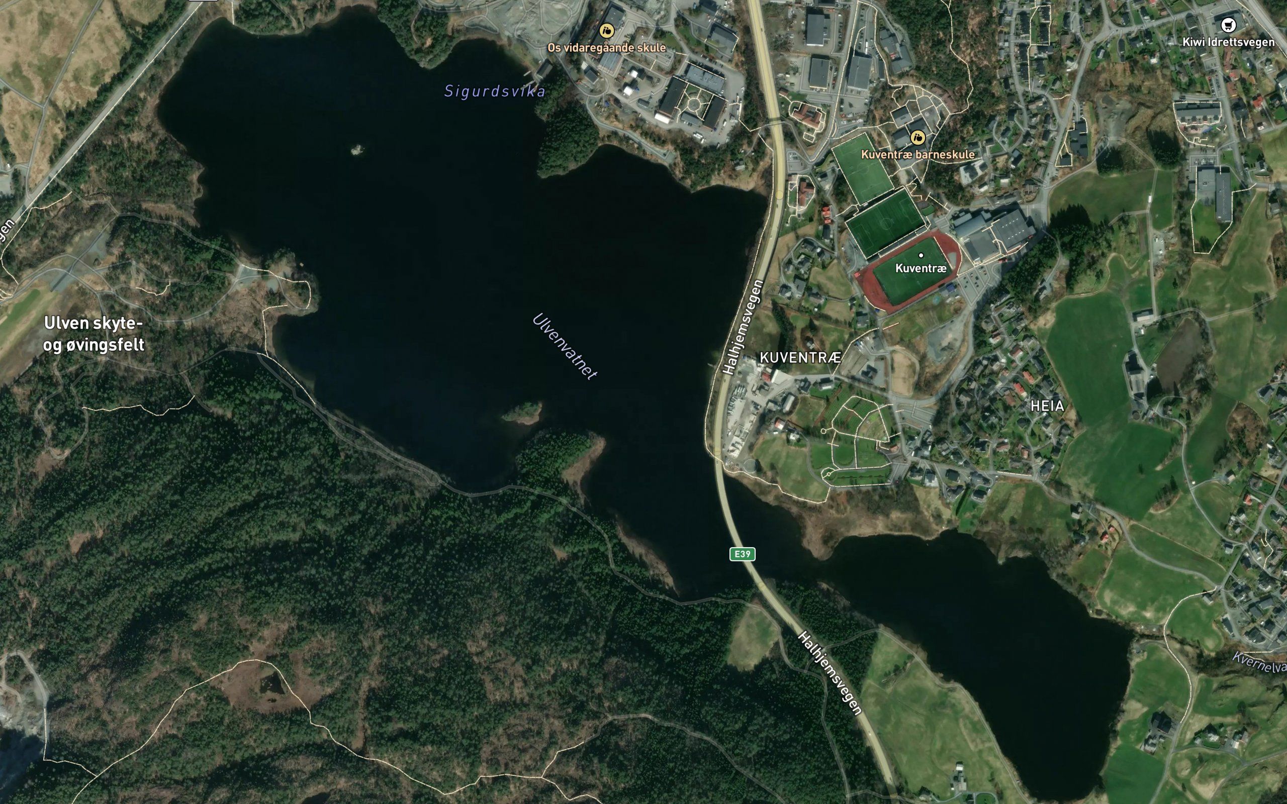 Haggardsvika