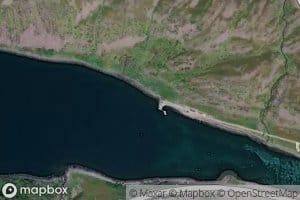 Vargvika