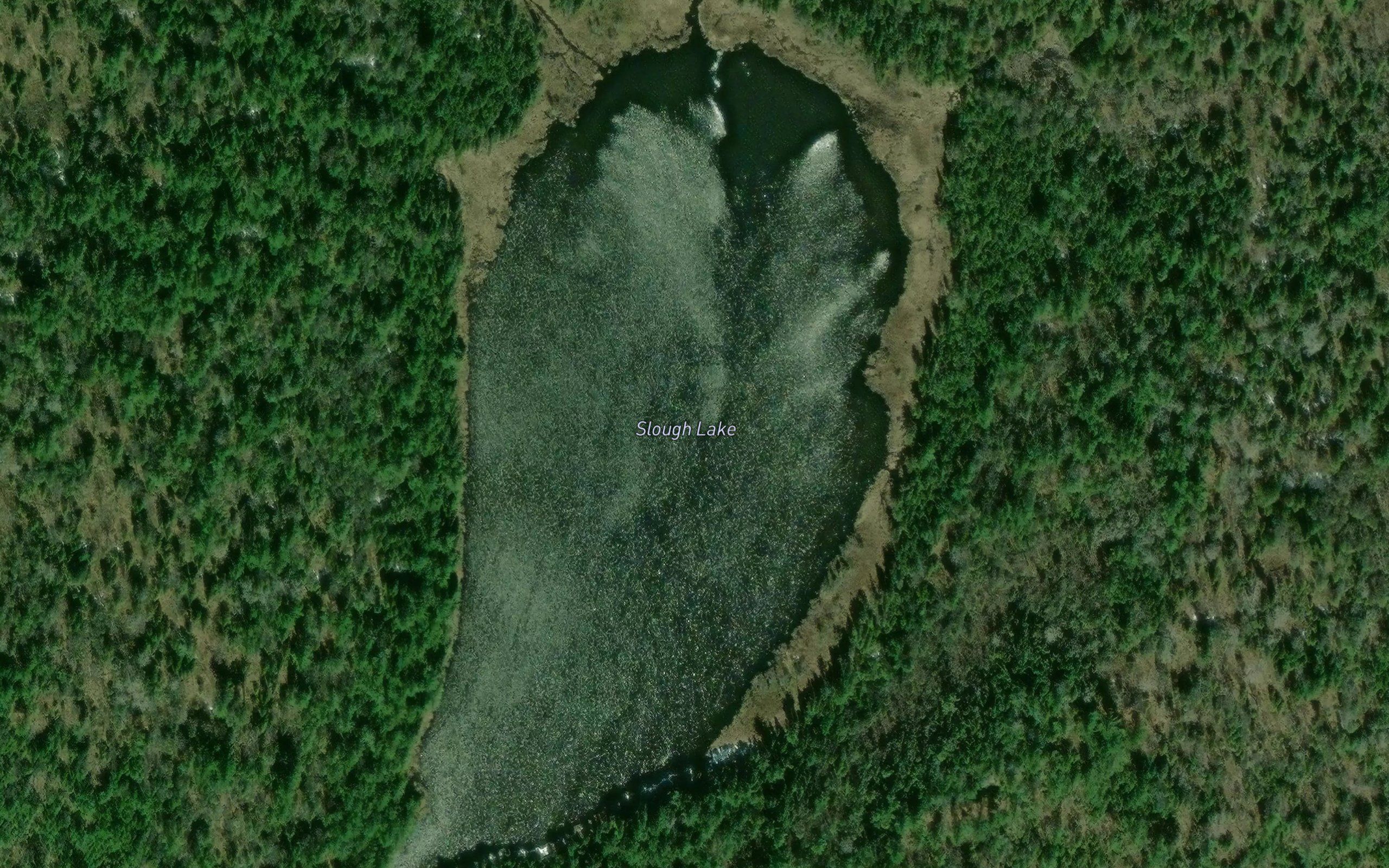 Slough Lake