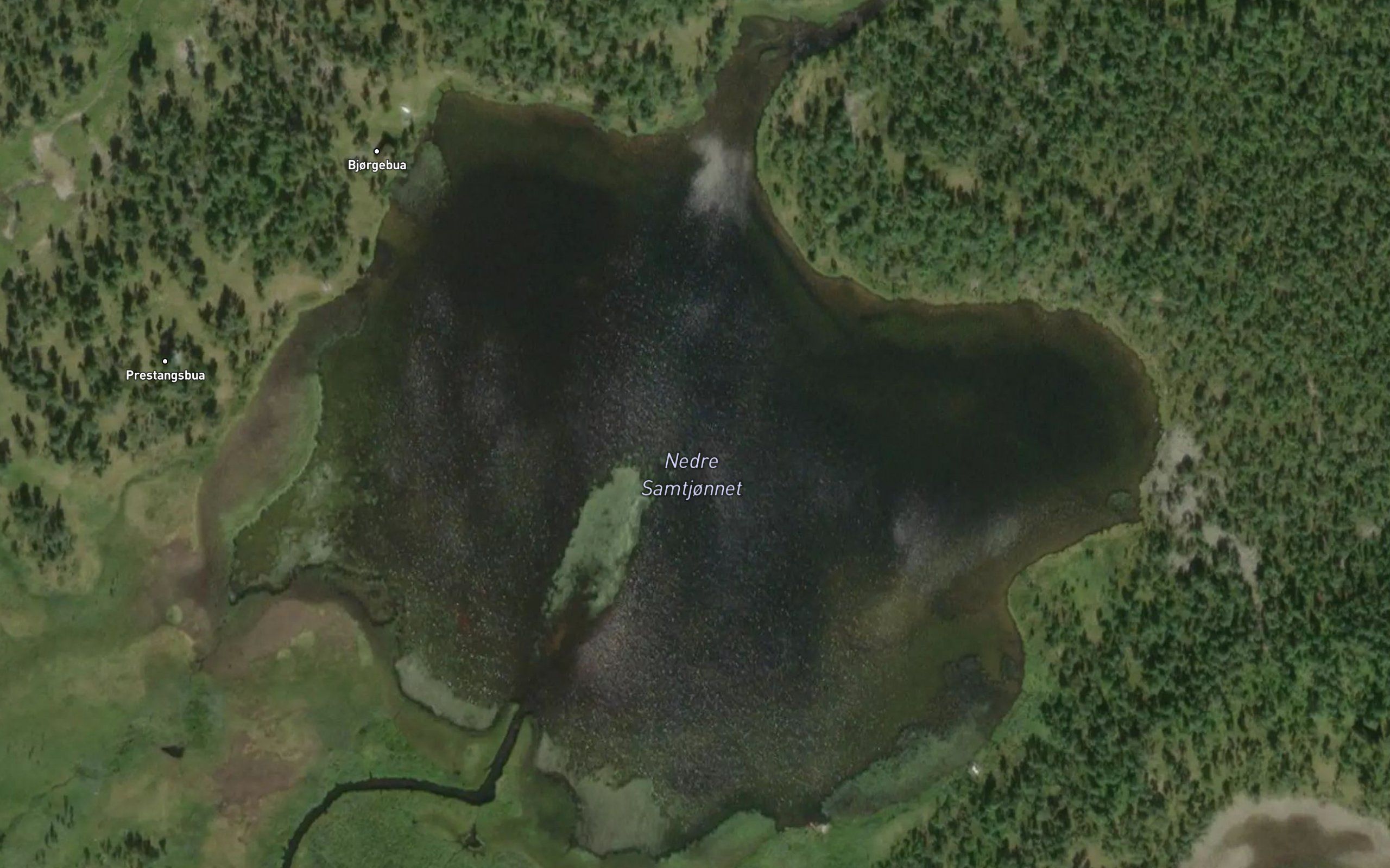Nedre Samtjonnet