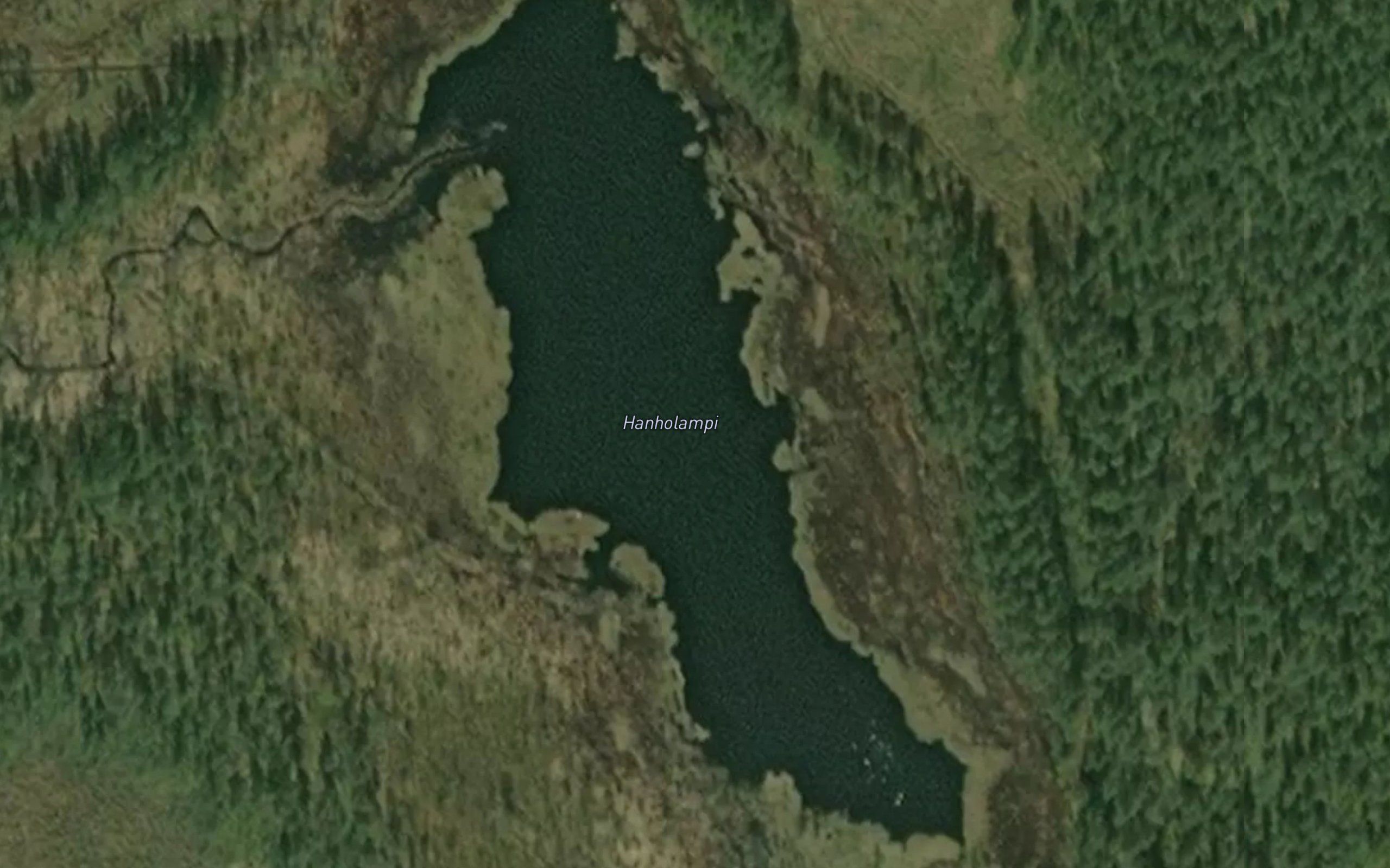 Hanholampi