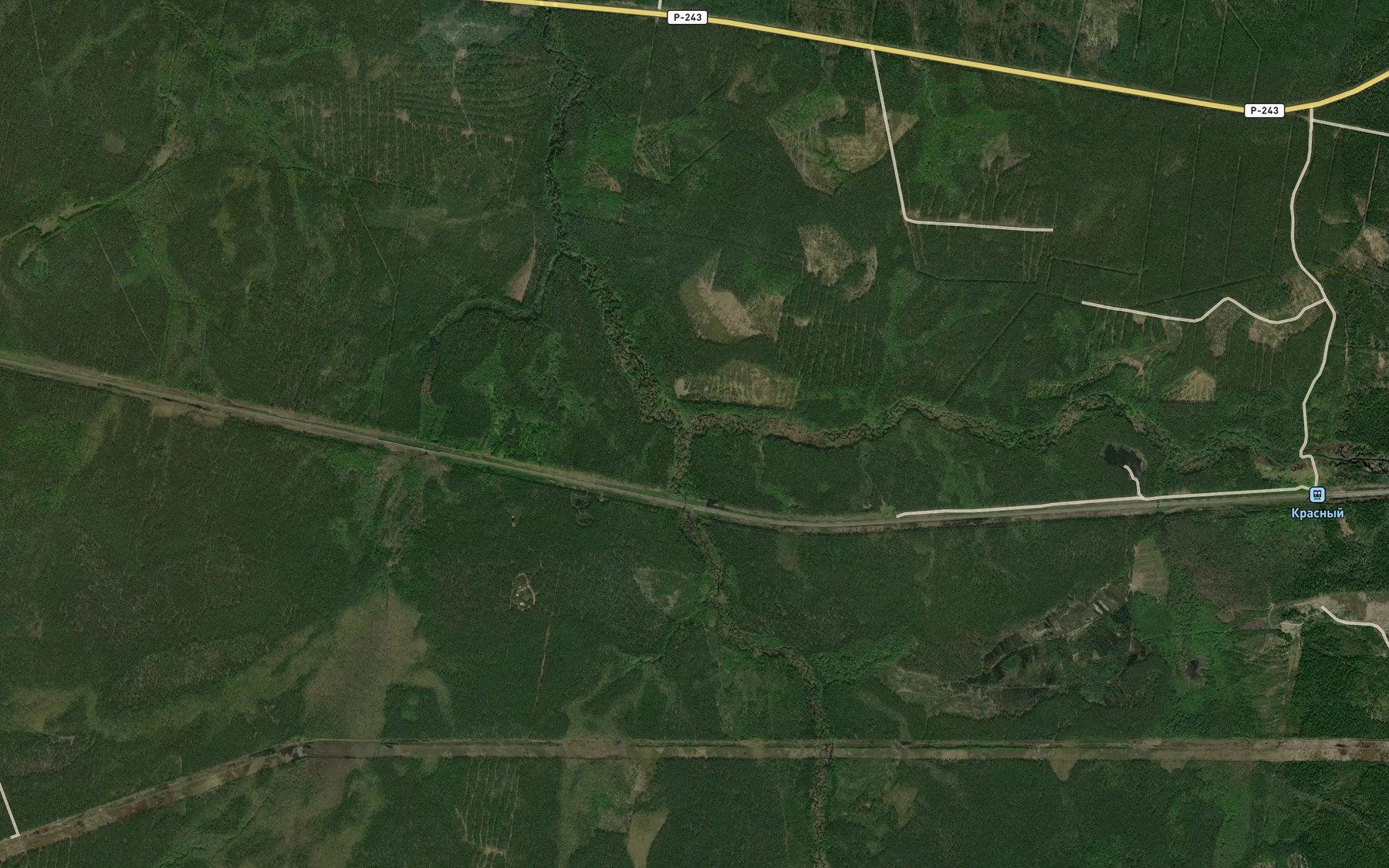 Satellite map of the Letnyaya Rechka