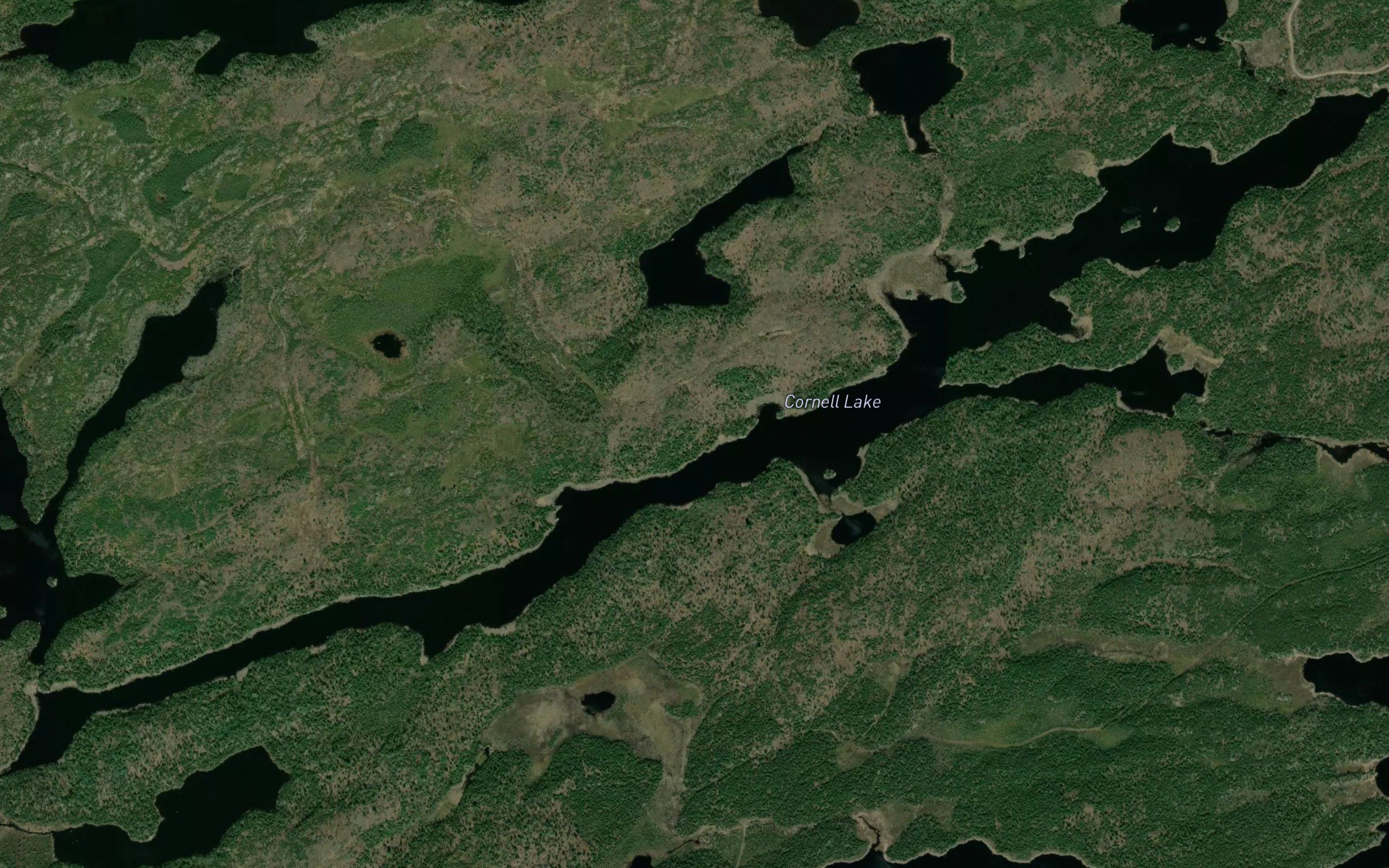 Cornell Lake