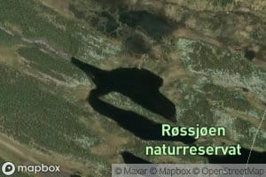 Oystre Steinbutjednet