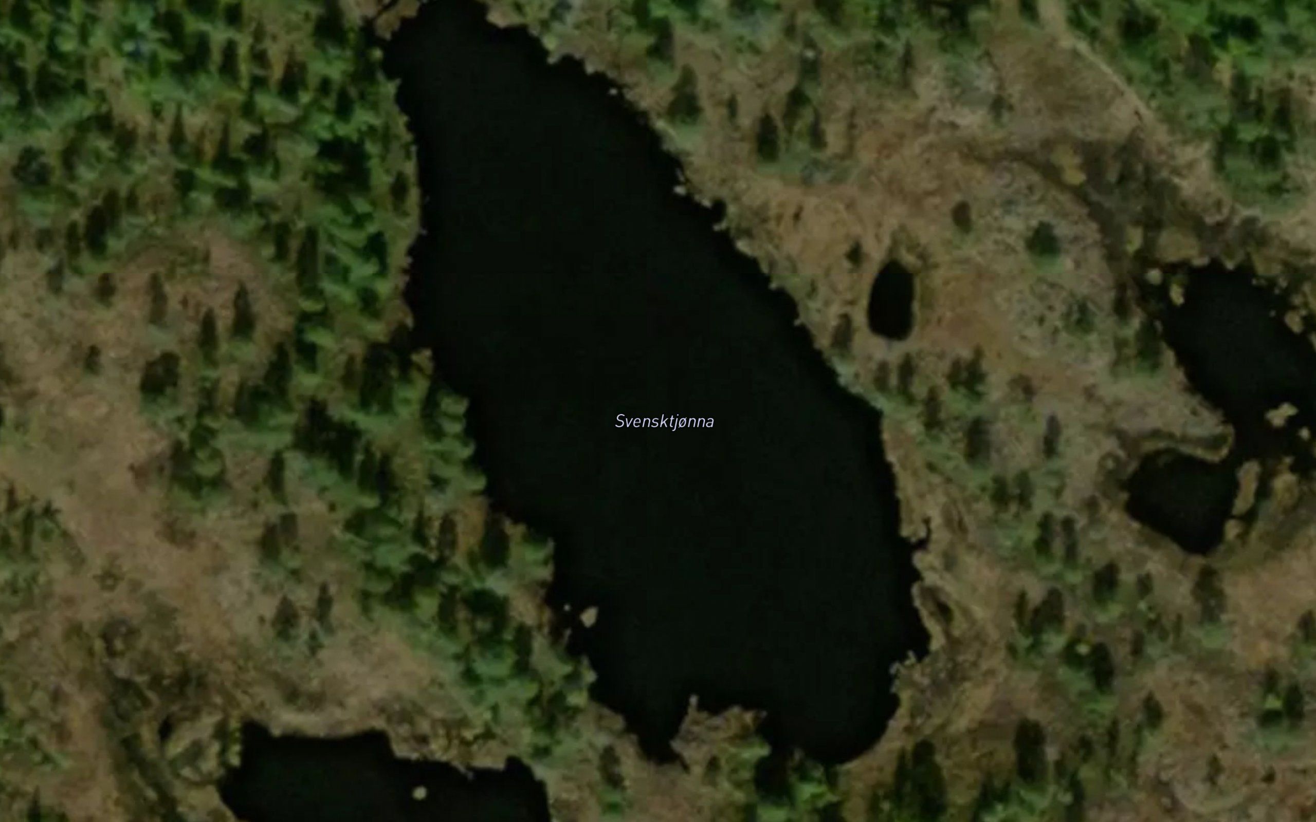Svensktjonna