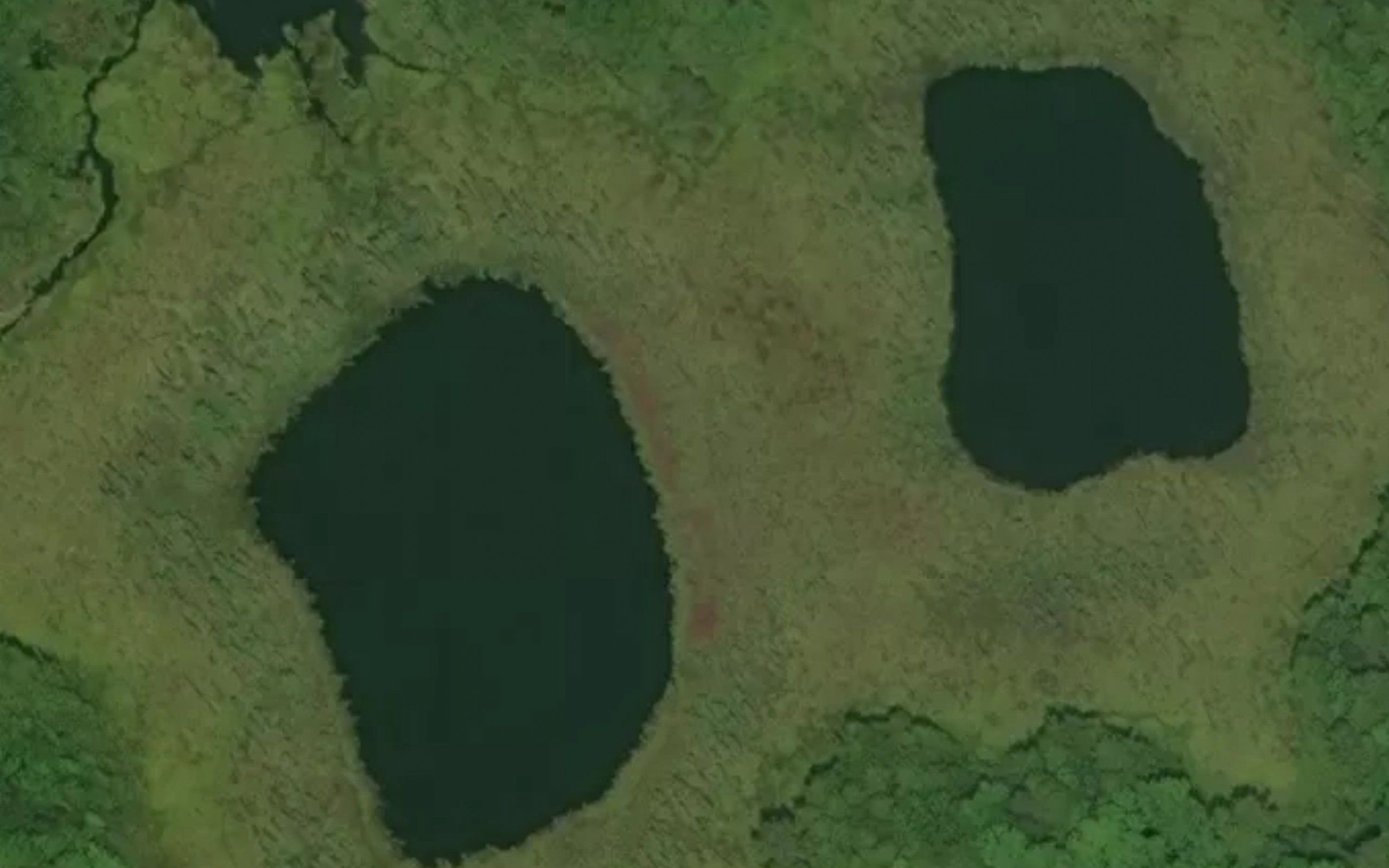 Twin Pups Lakes