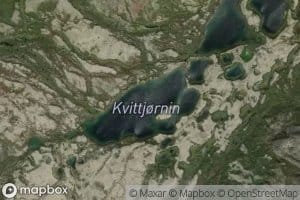 Kvittjornin