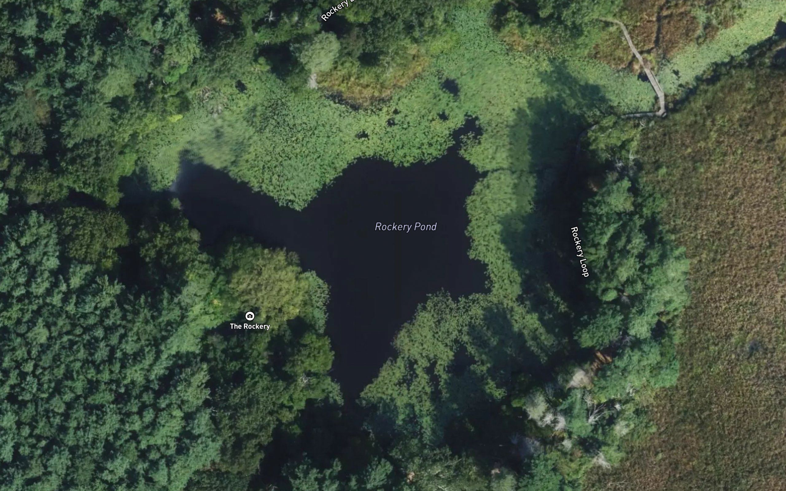 Rockery Pond