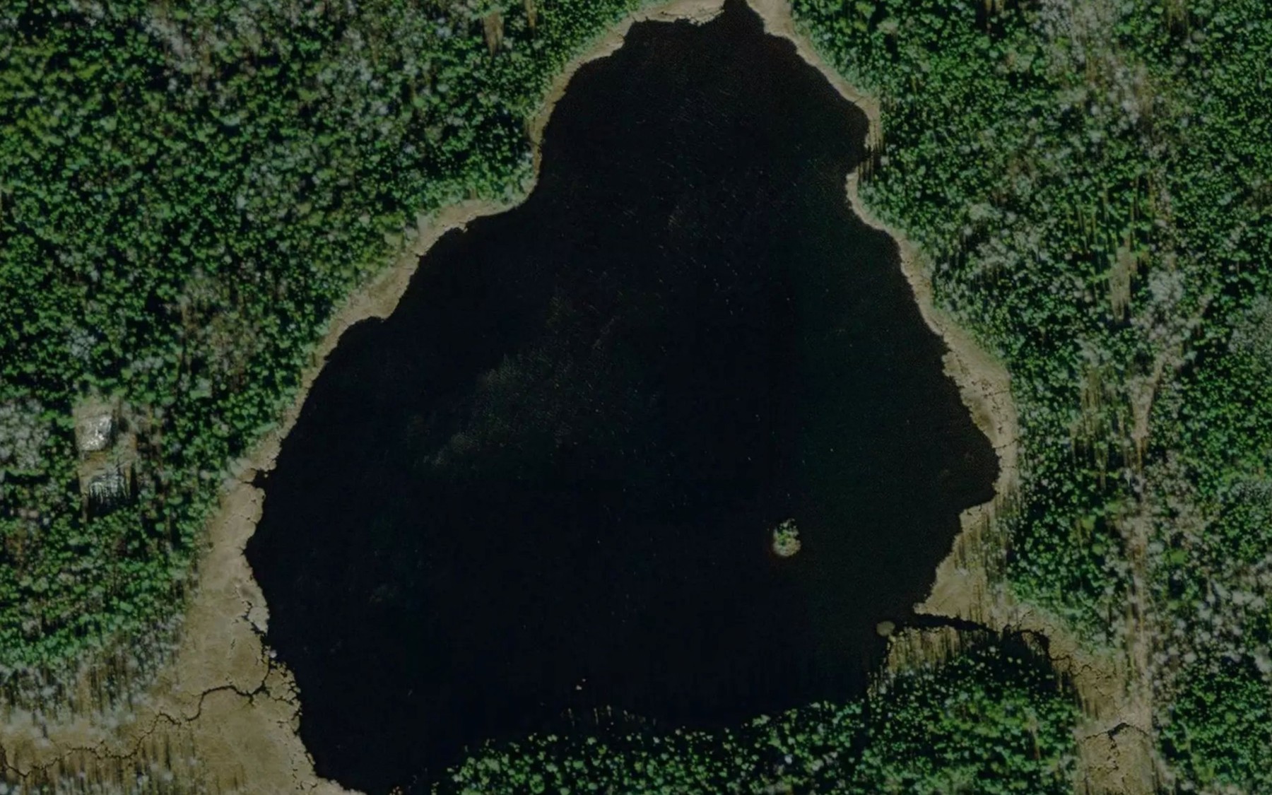 Satellite map of the Benbow Lake
