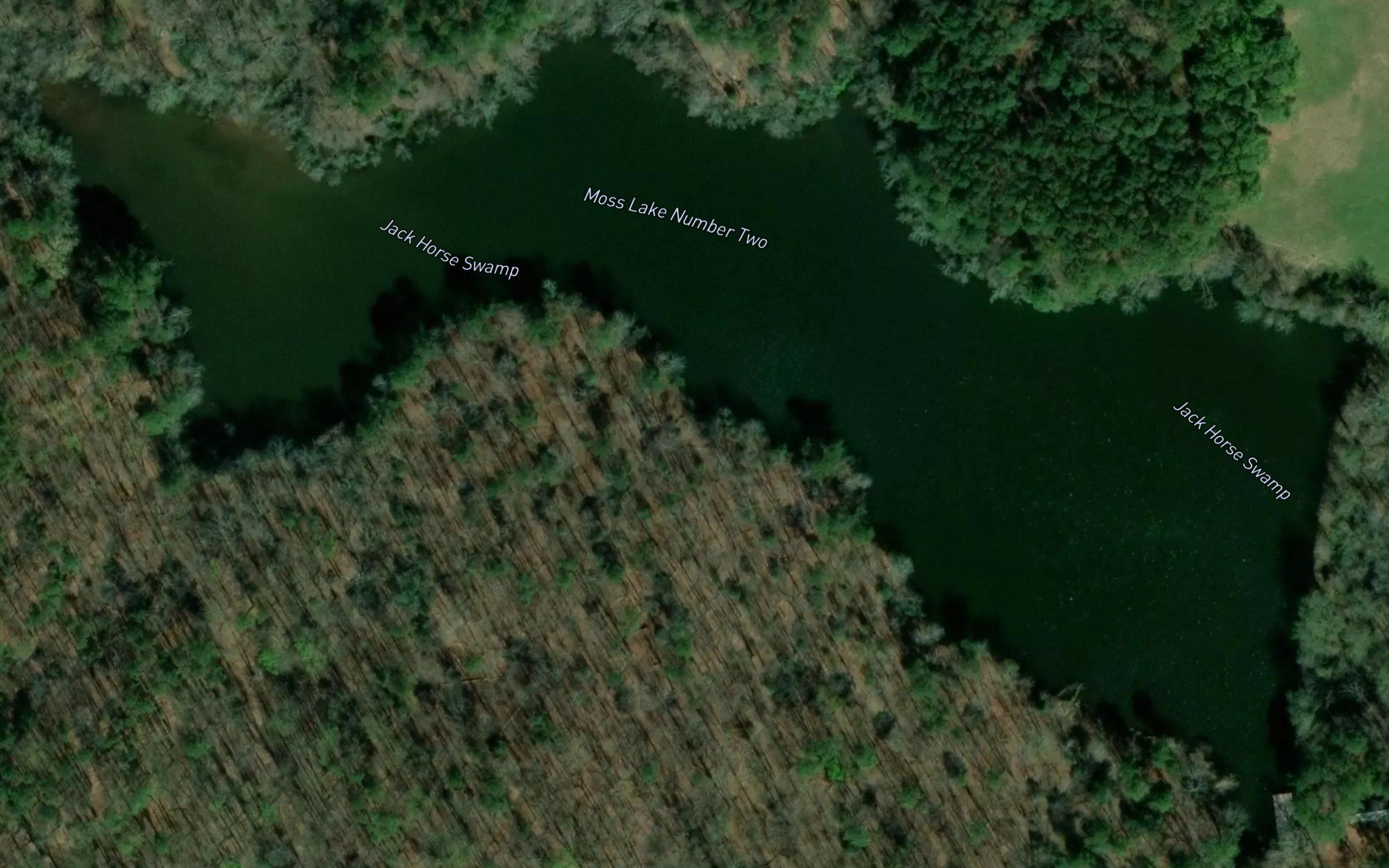 Moss Lake Number Two