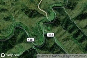 Long Fork