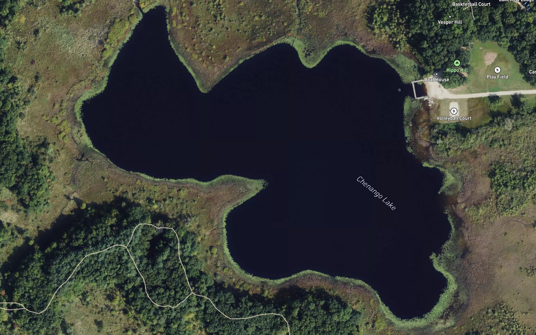 Satellite map of the Chenango Lake