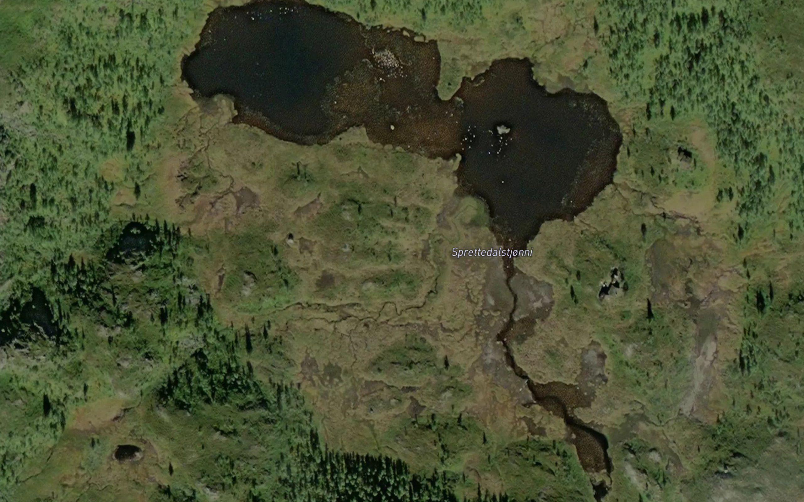 Sprettedalstjonni