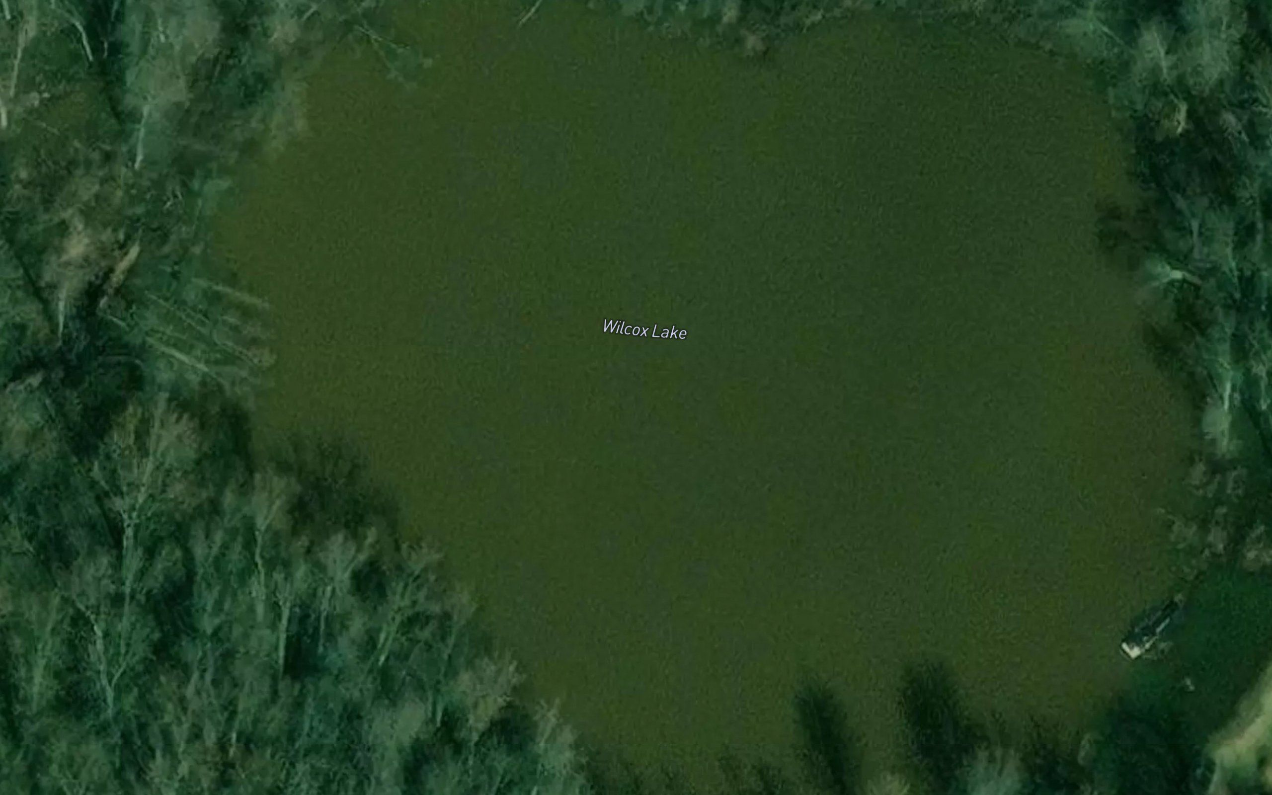 Wilcox Lake