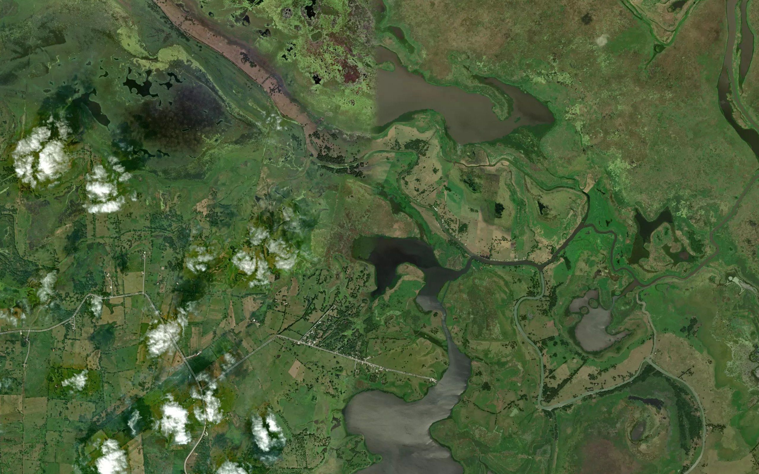 Laguna Cocoyol