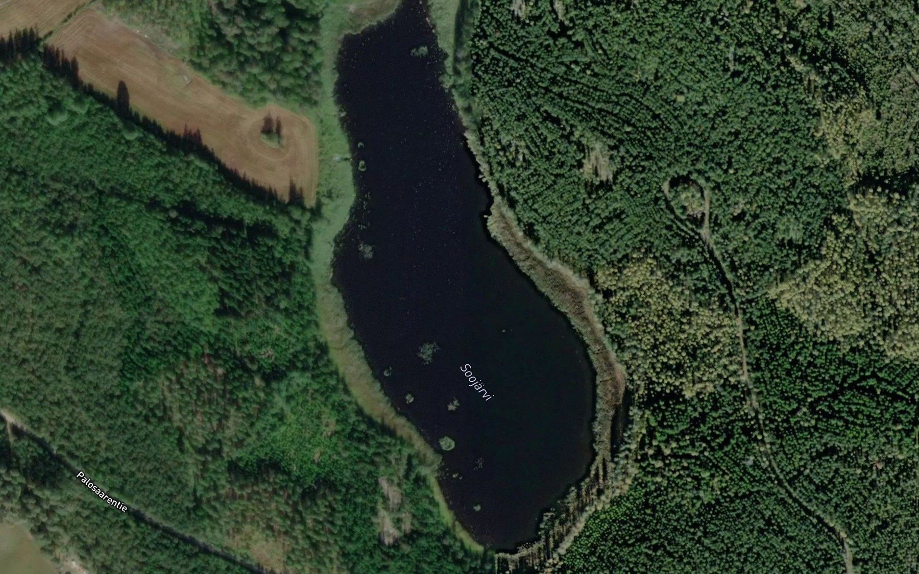 Satellite map of the Soojarvi