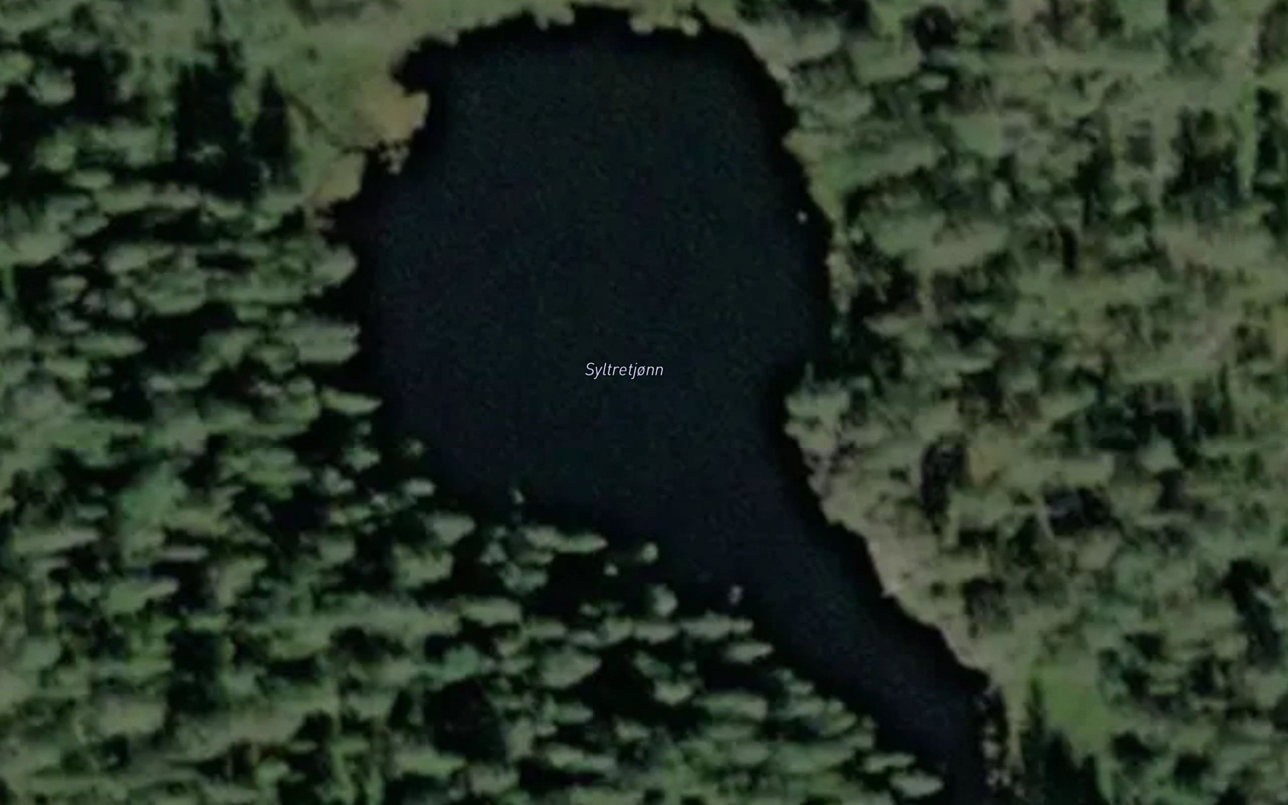 Syltretjonn