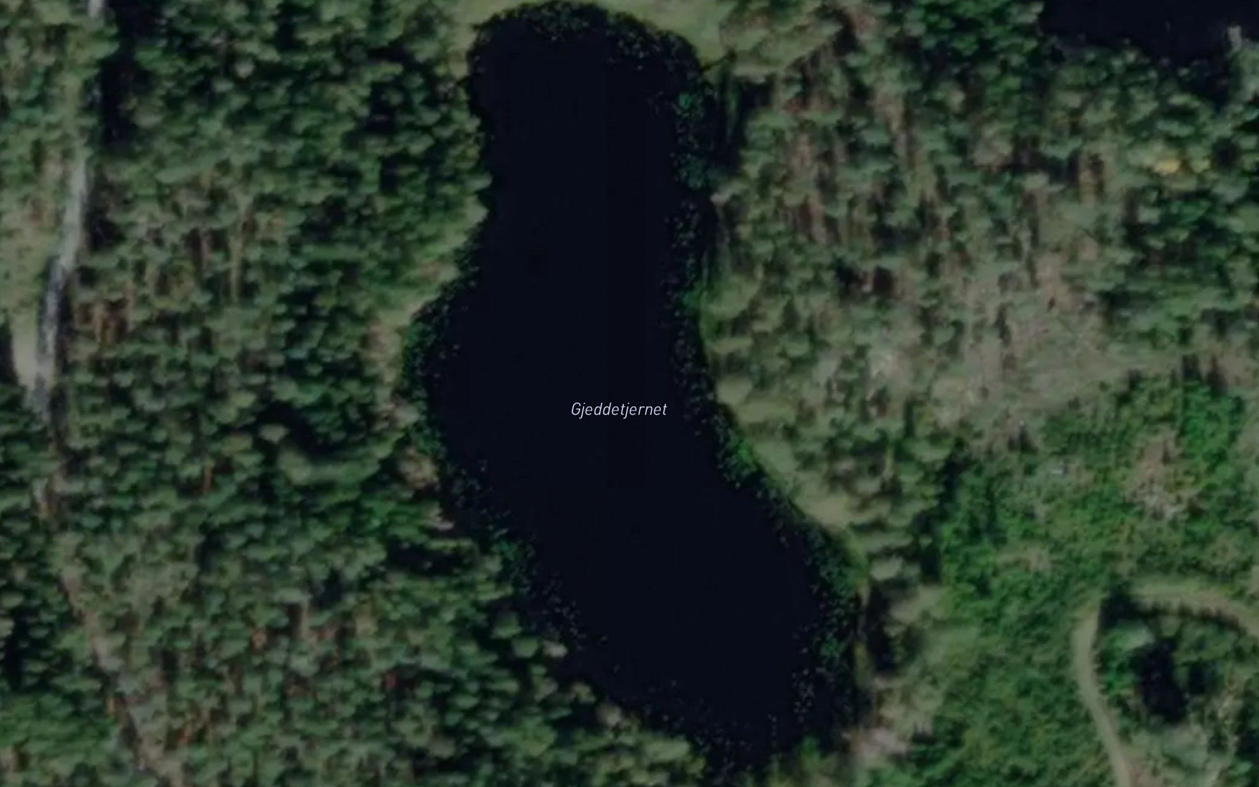 Gjeddetjernet