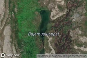Bajemusluobbal