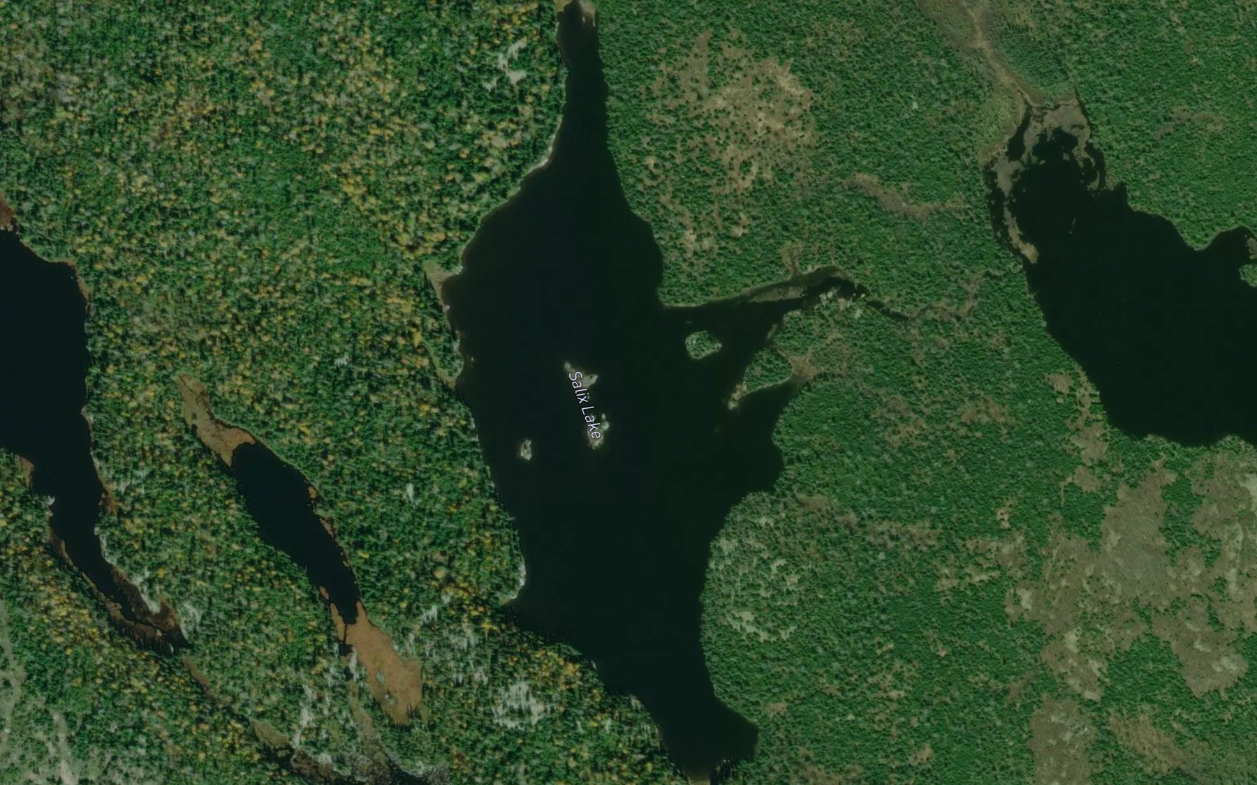 Satellite map of the Salix Lake
