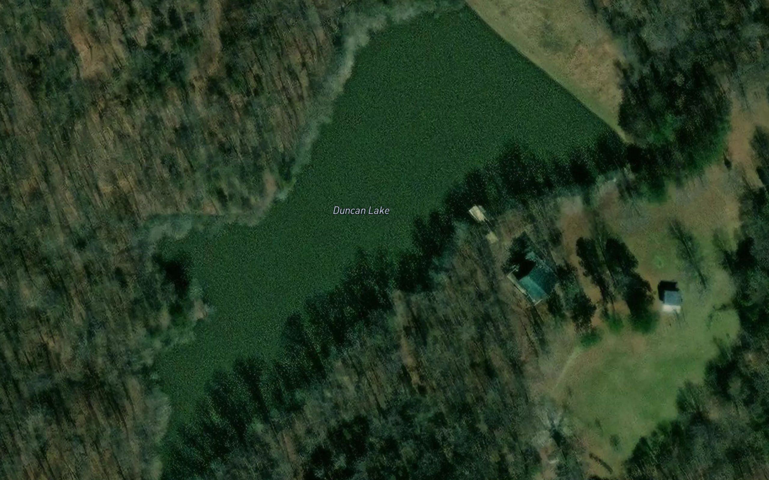 Duncan Lake
