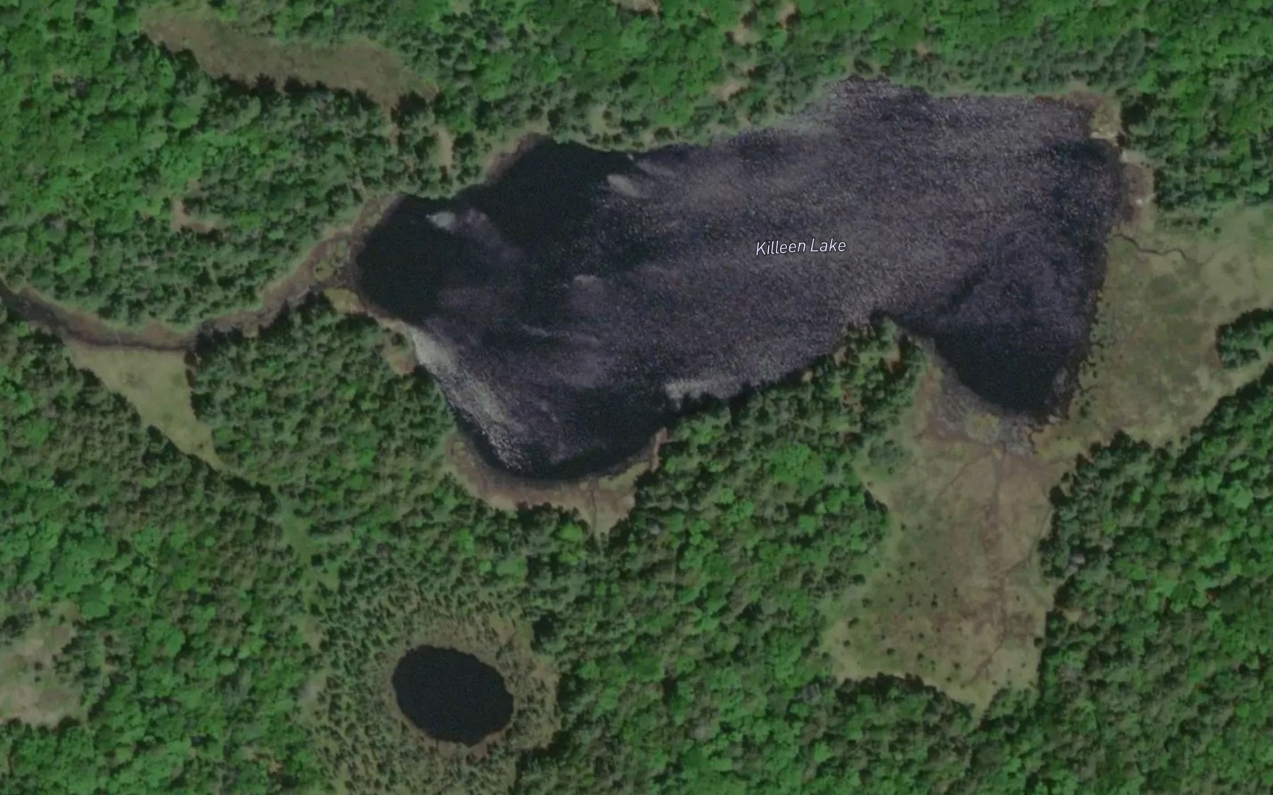 Satellite map of the Killeen Lake