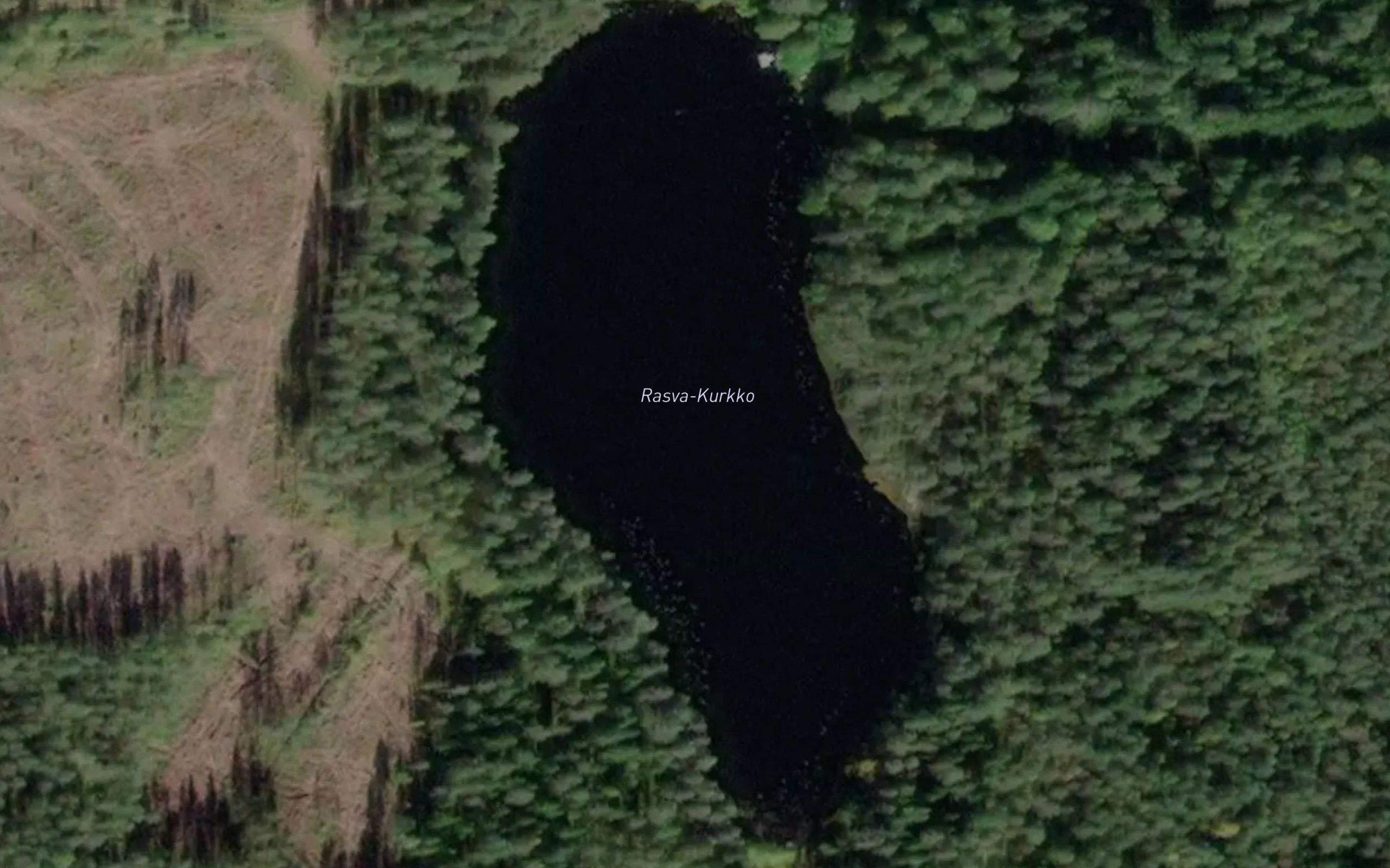Rasva-Kurkko