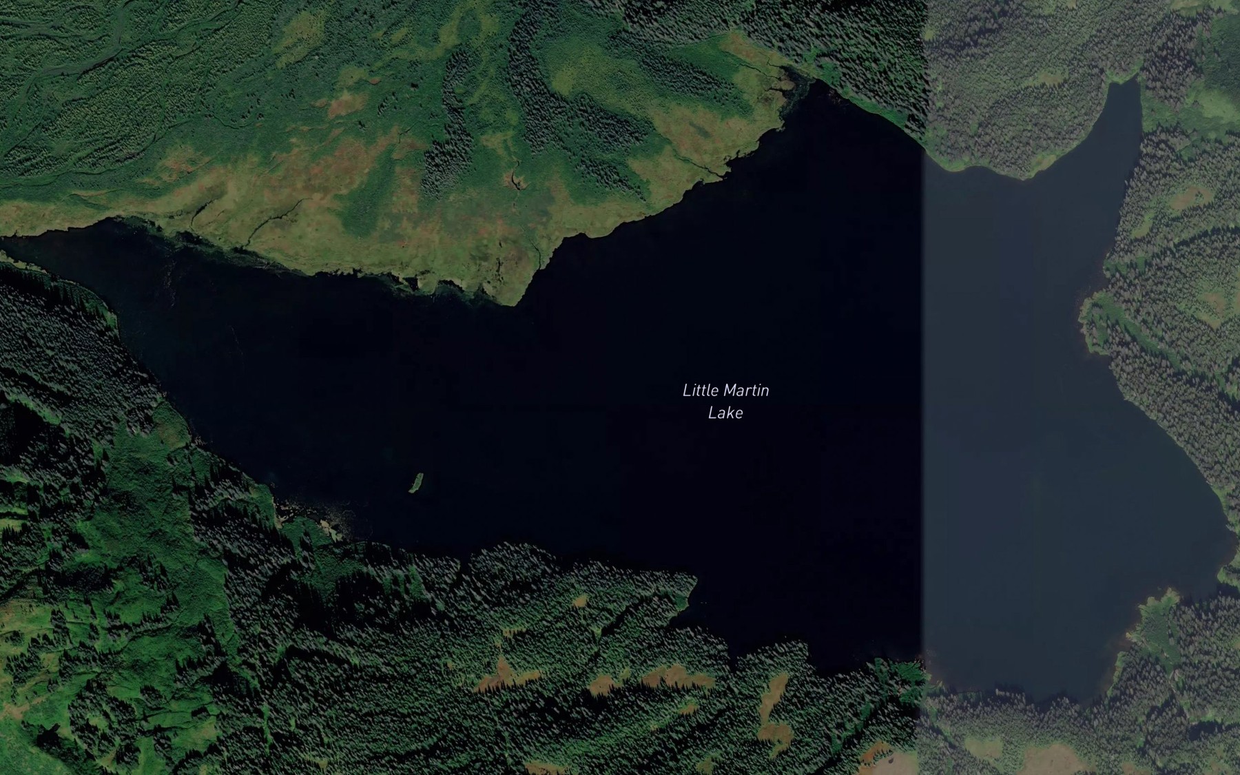 Satellite map of the Little Martin Lake