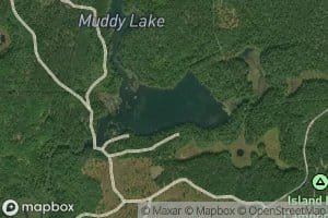 Muddy Lake