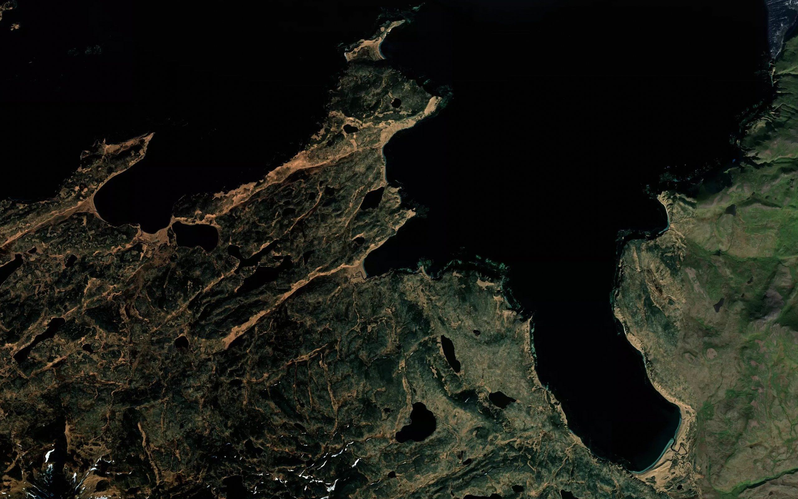 Qusugiinax