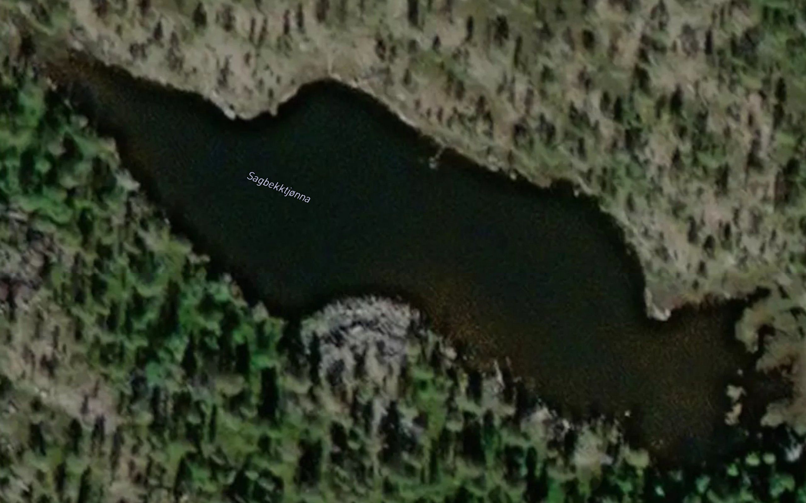 Sagbekktjonna