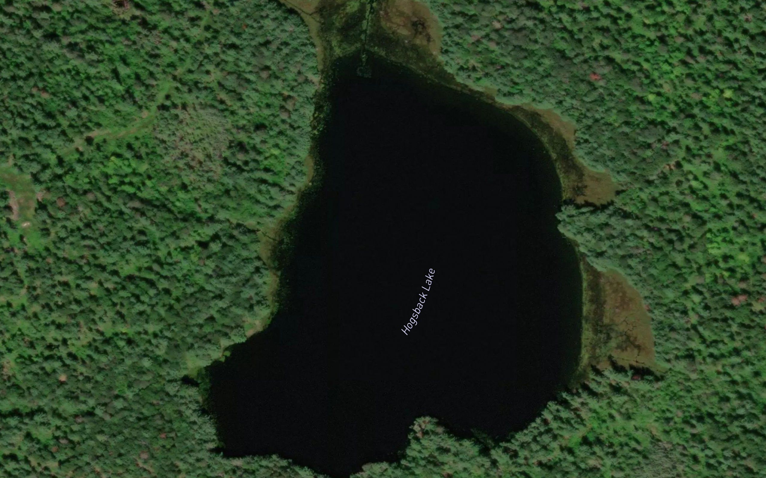 Hogsback Lake