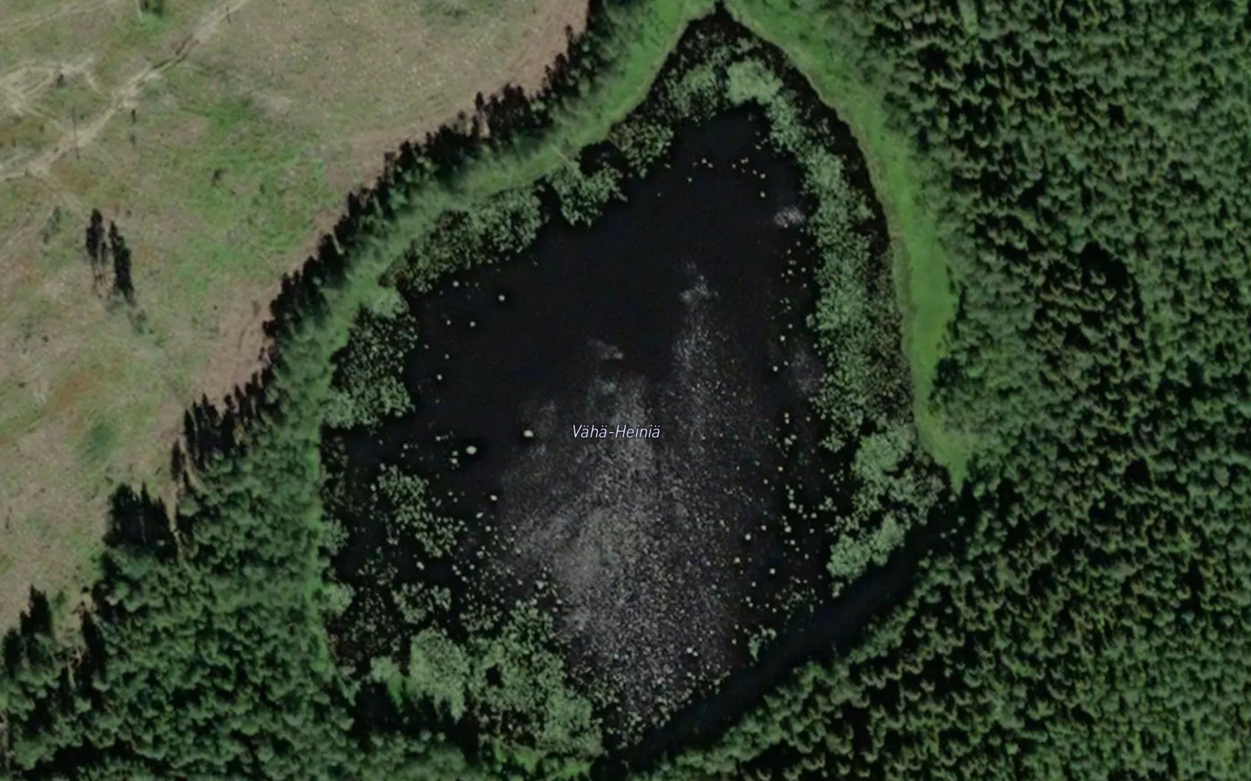 Vaha-Heinia