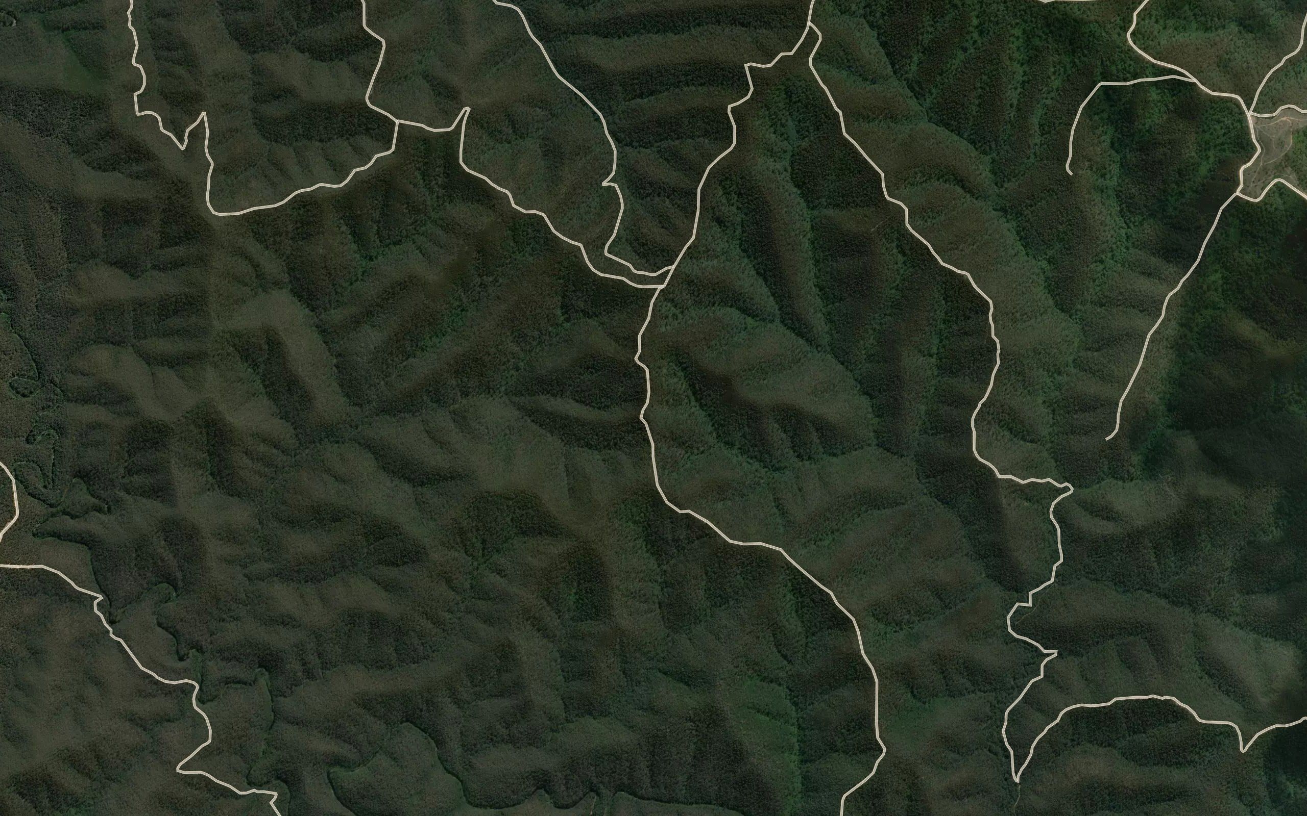 Yahoo Creek