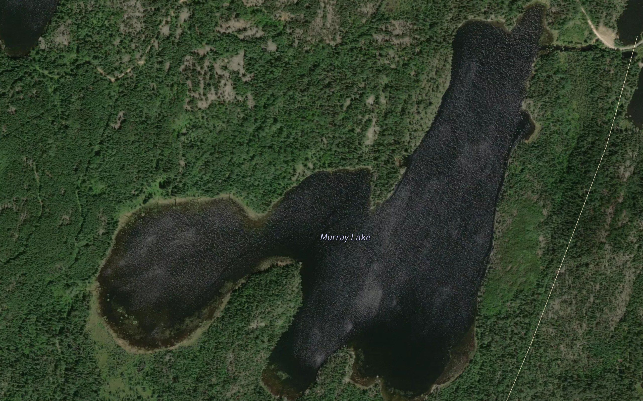 Murray Lake