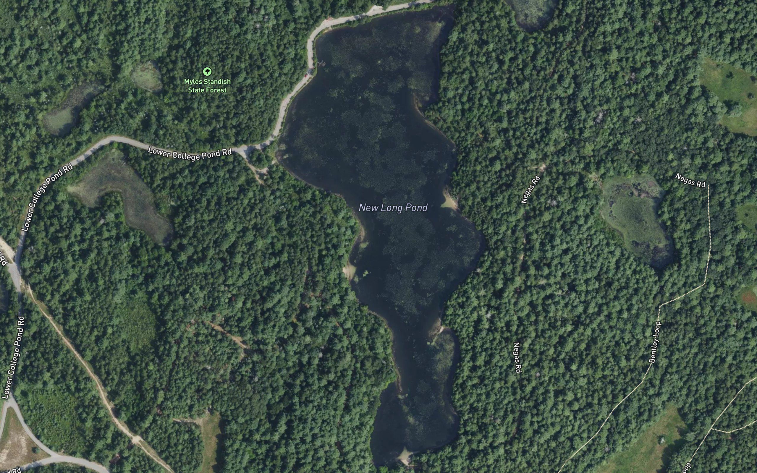 New Long Pond