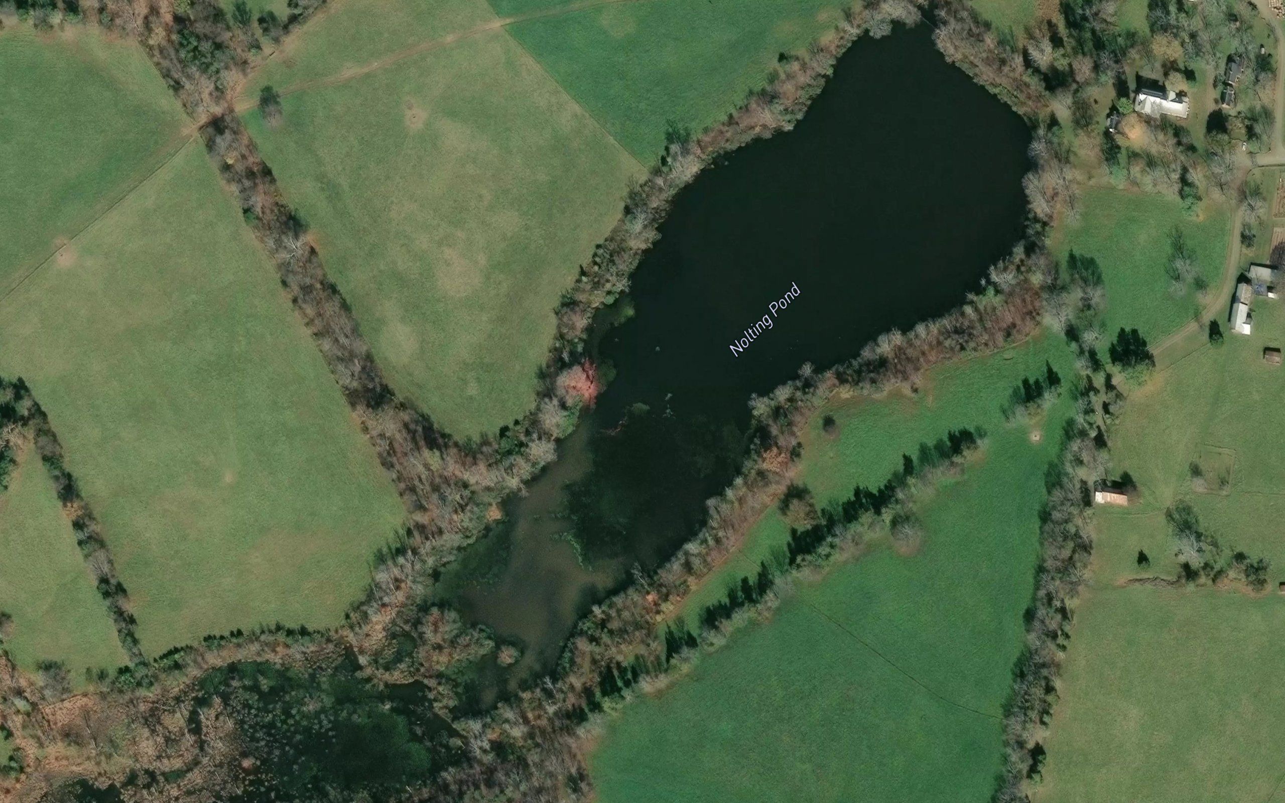 Nolting Pond