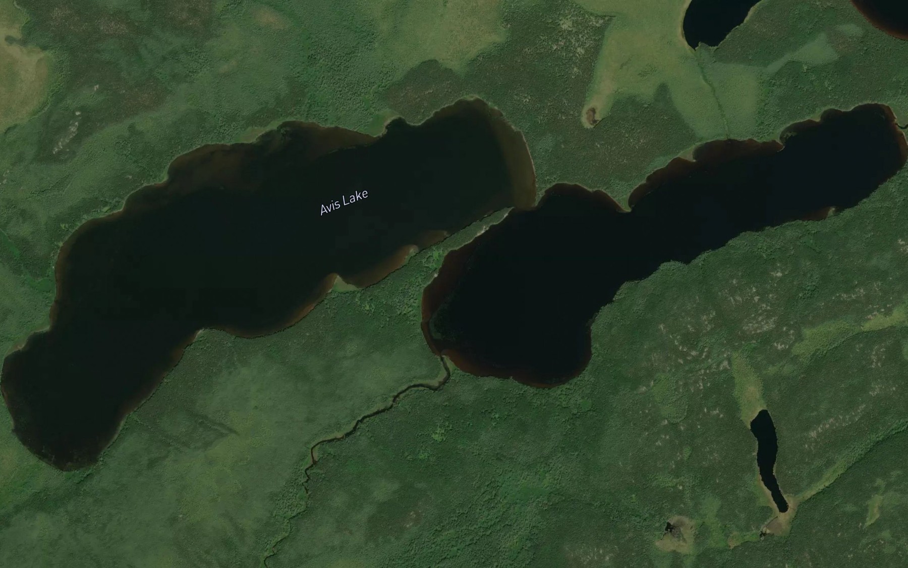 Satellite map of the Avis Lake