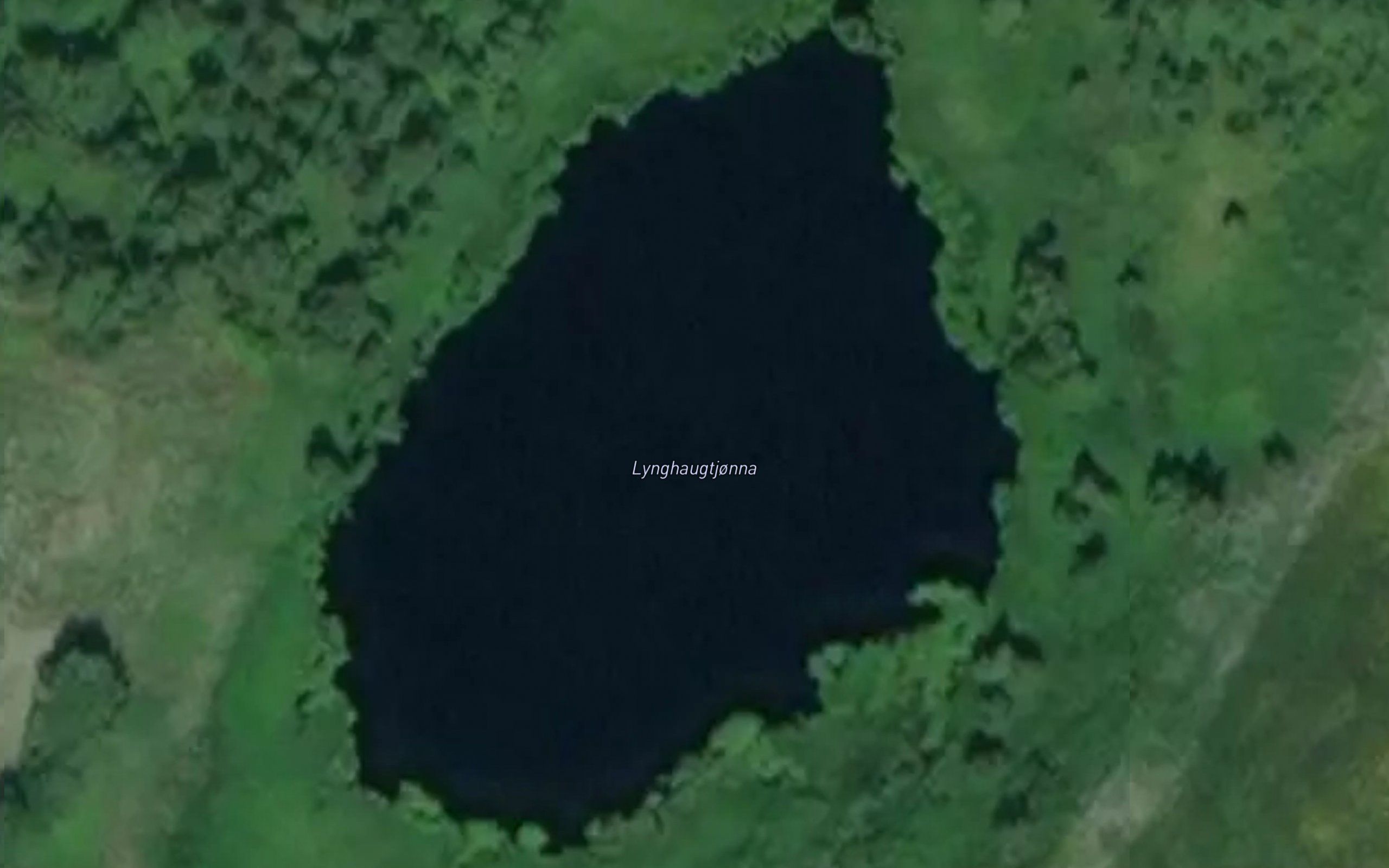 Lynghaugtjonna