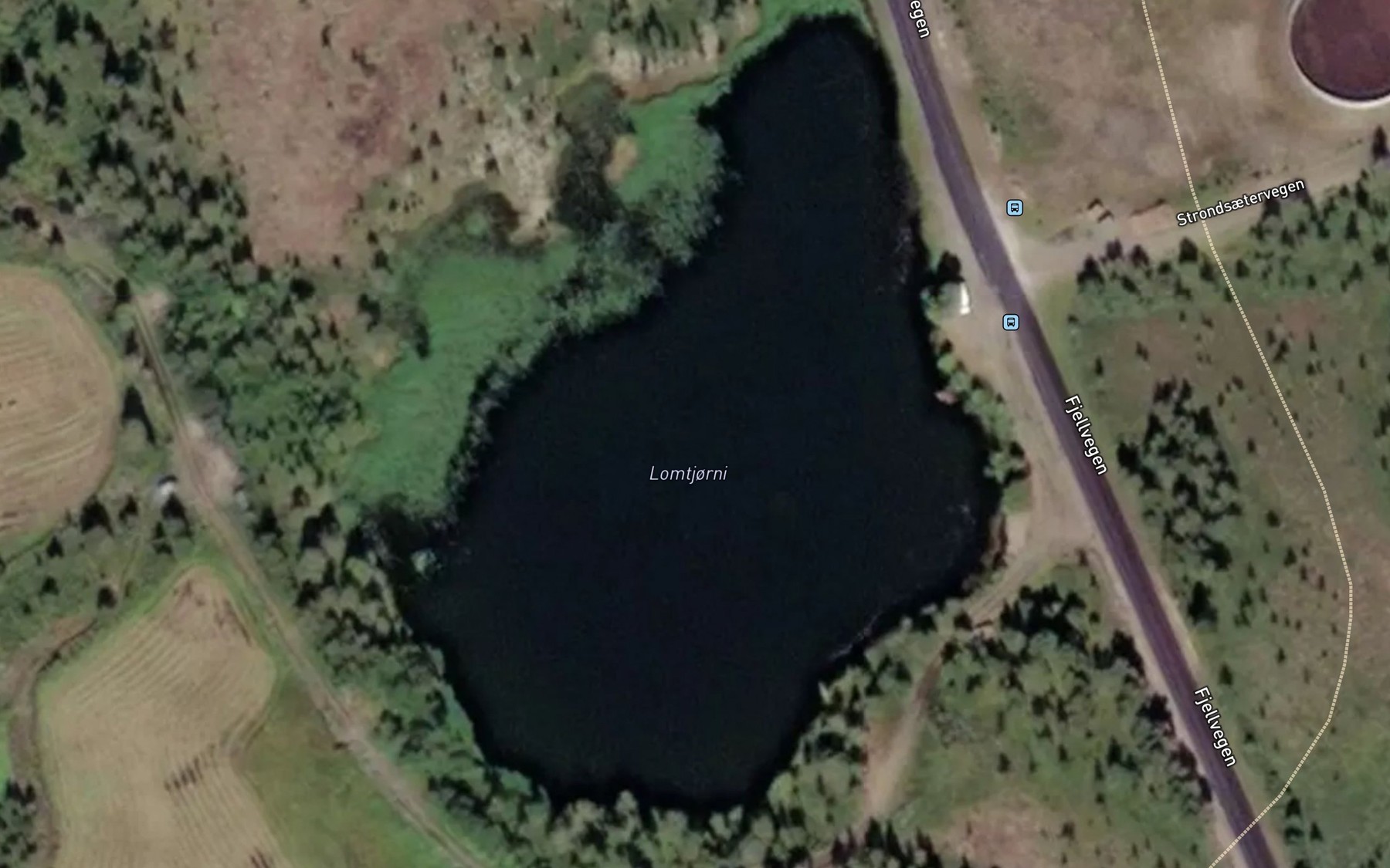 Satellite map of the Lomtjorni