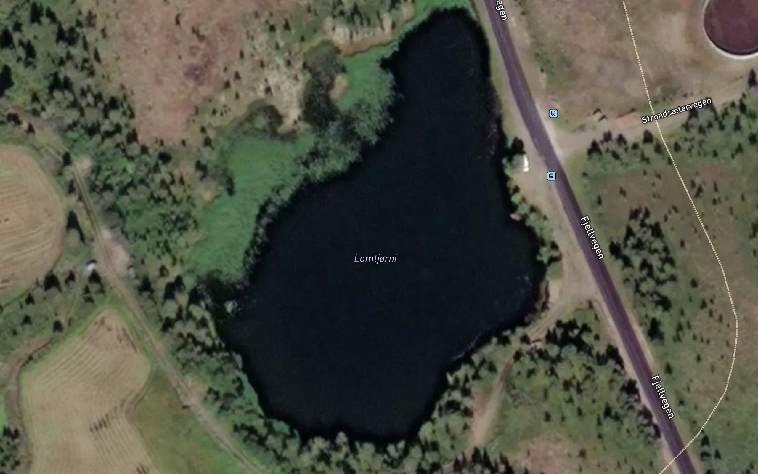 Lomtjorni