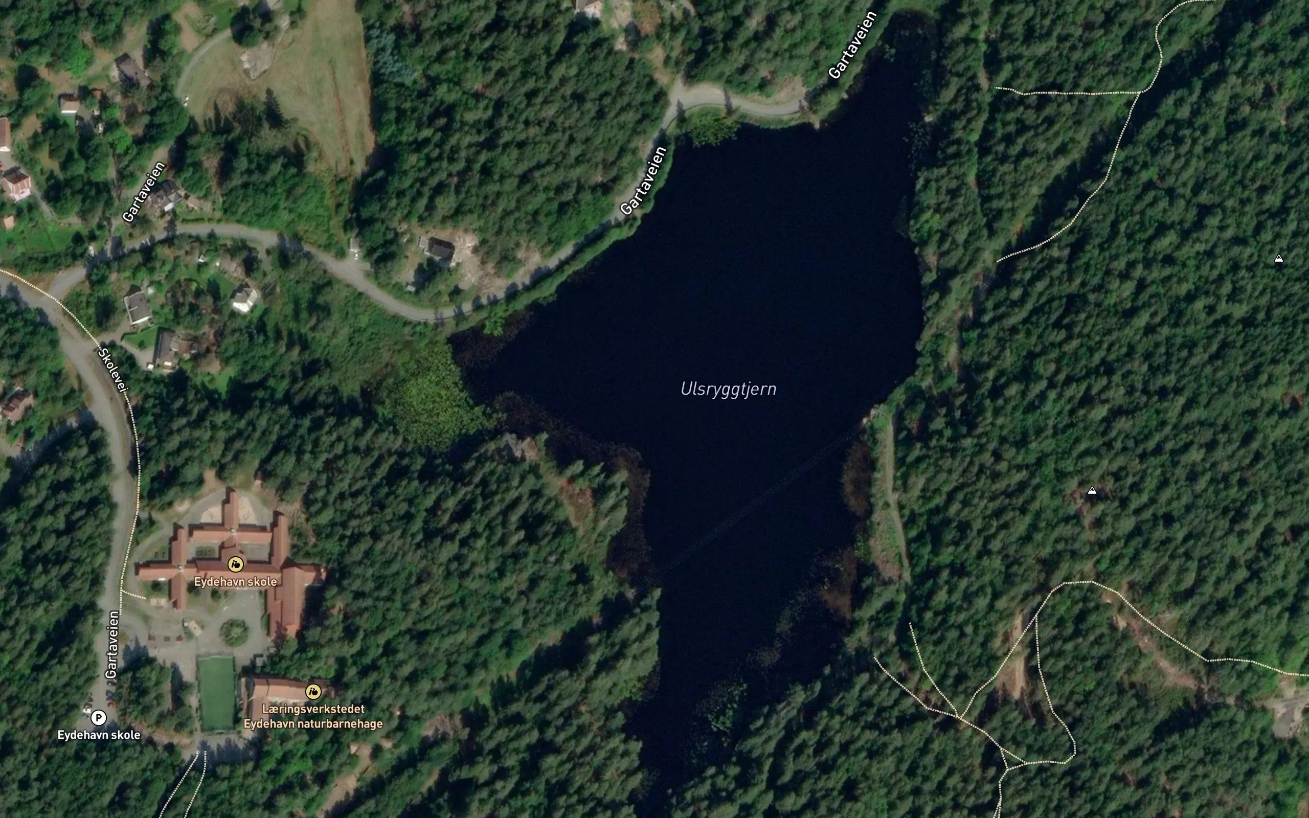 Ulsryggtjern