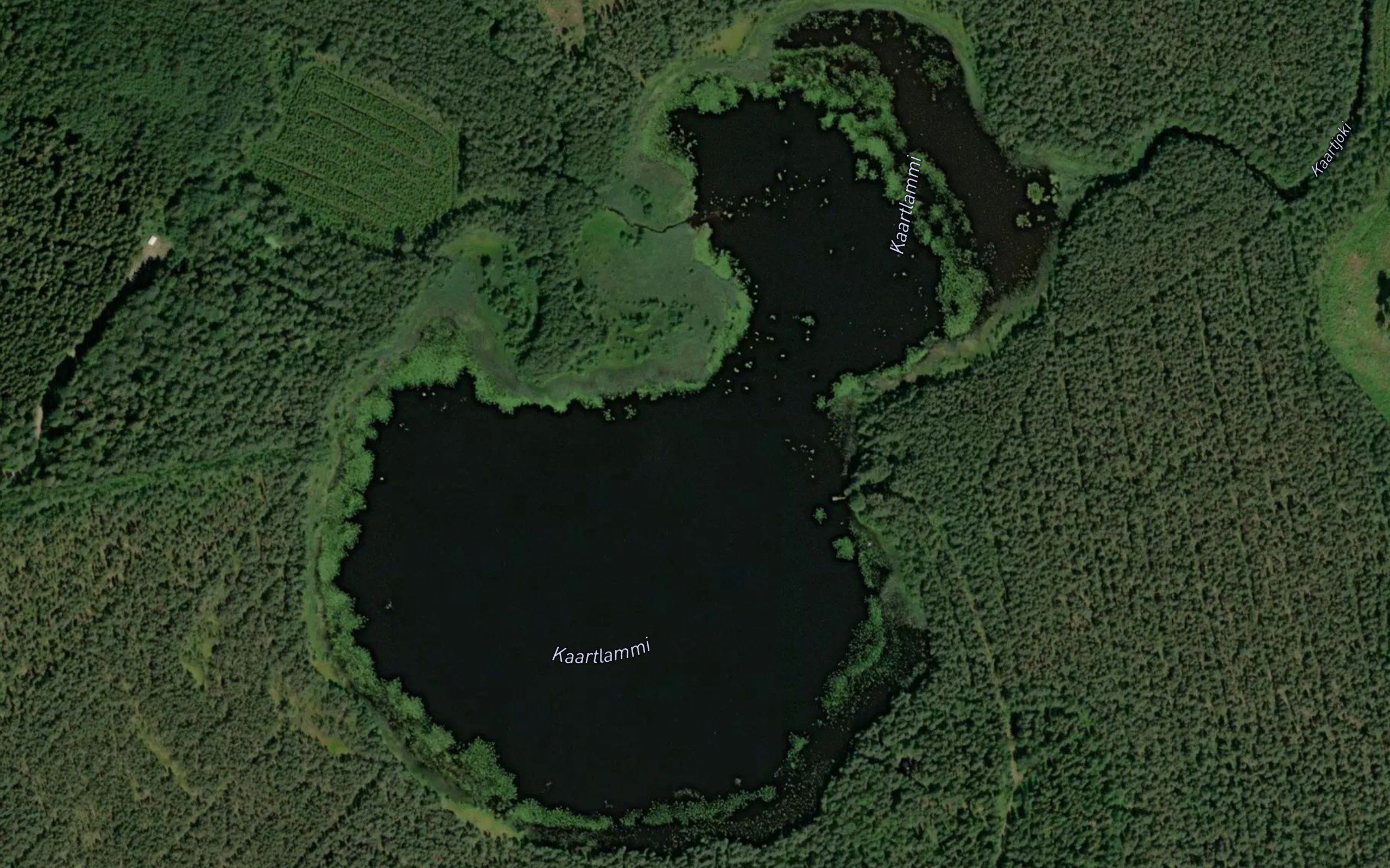 Kaartlammi