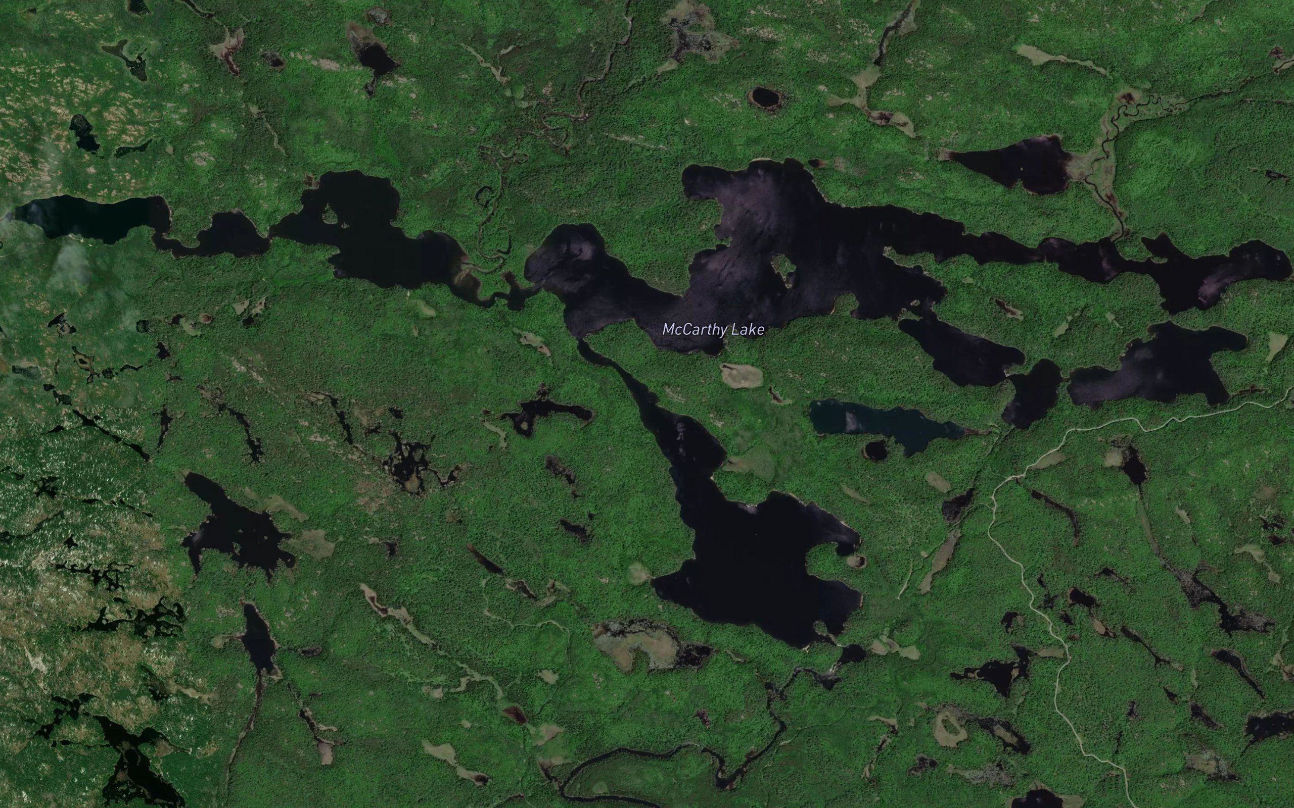 McCarthy Lake