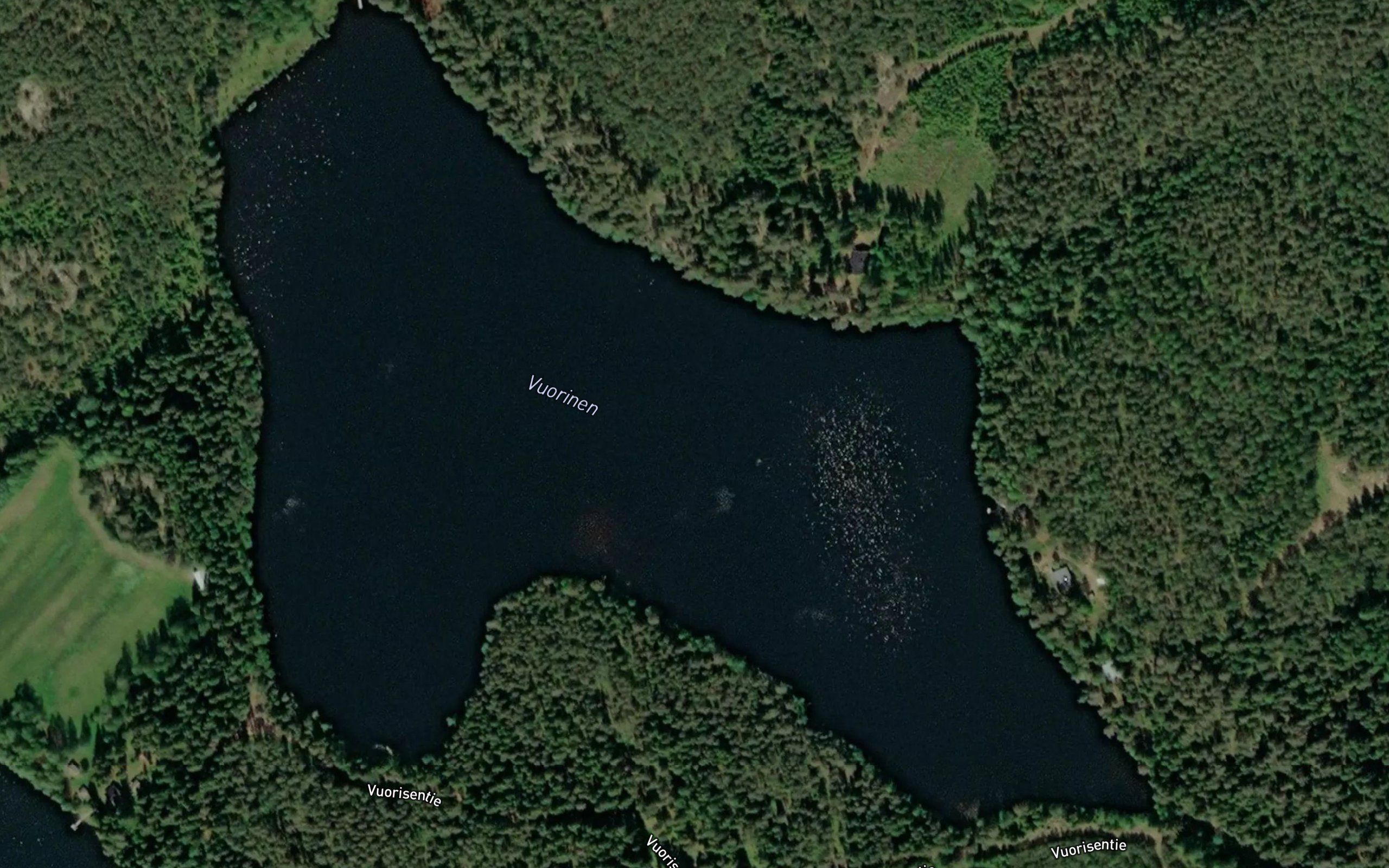Vuorinen
