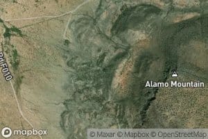 Alamo Spring