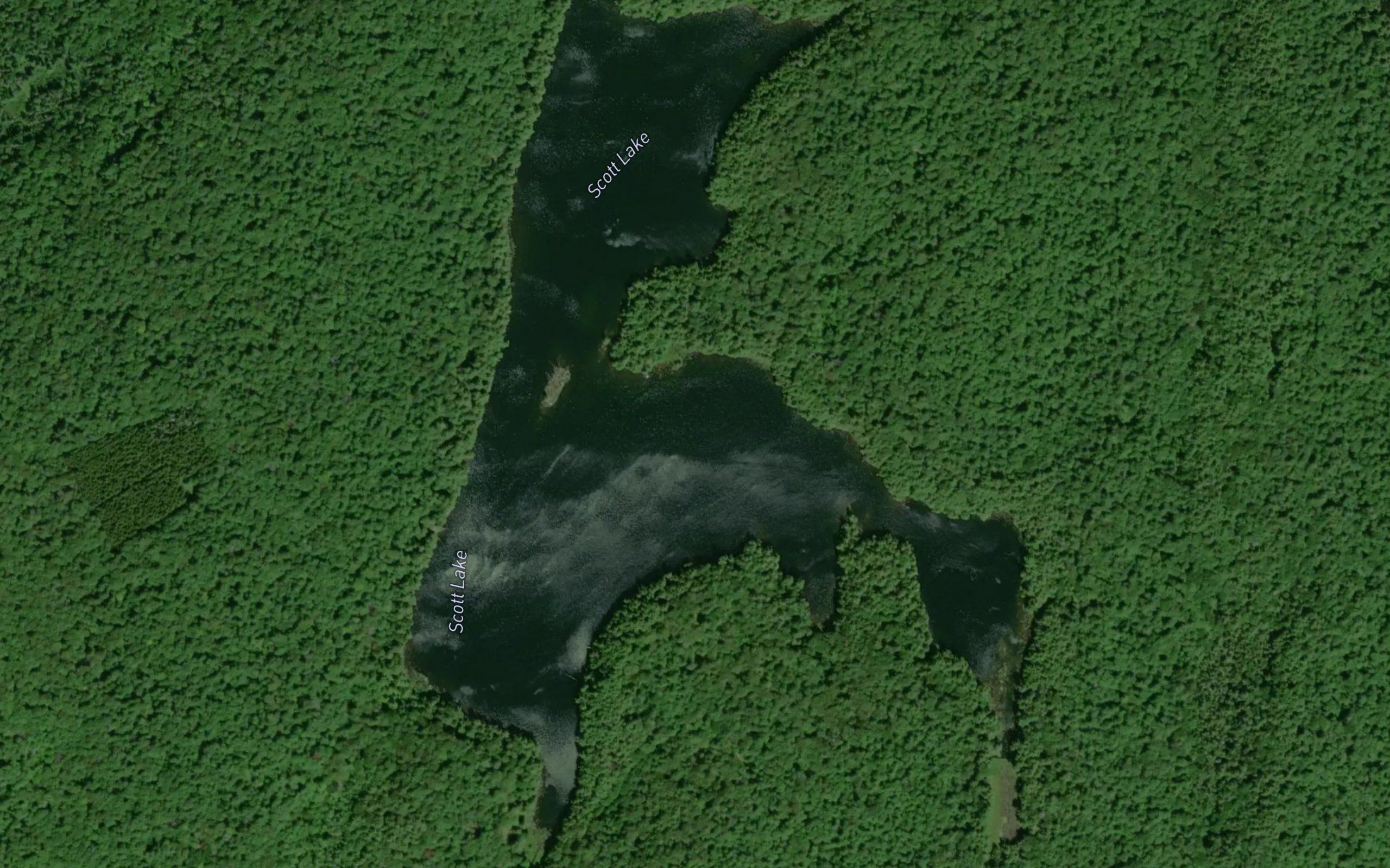 Scott Lake