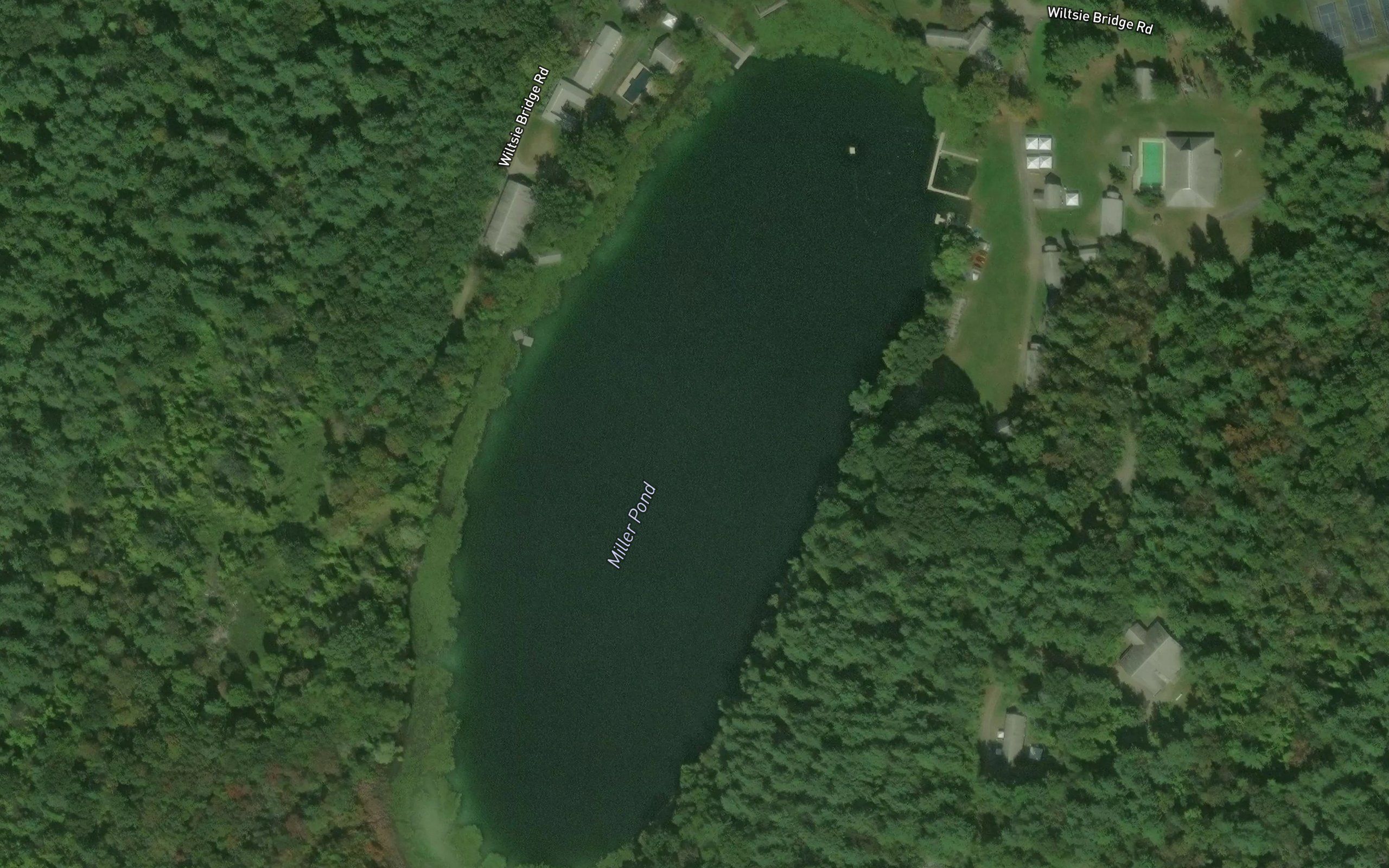 Miller Pond