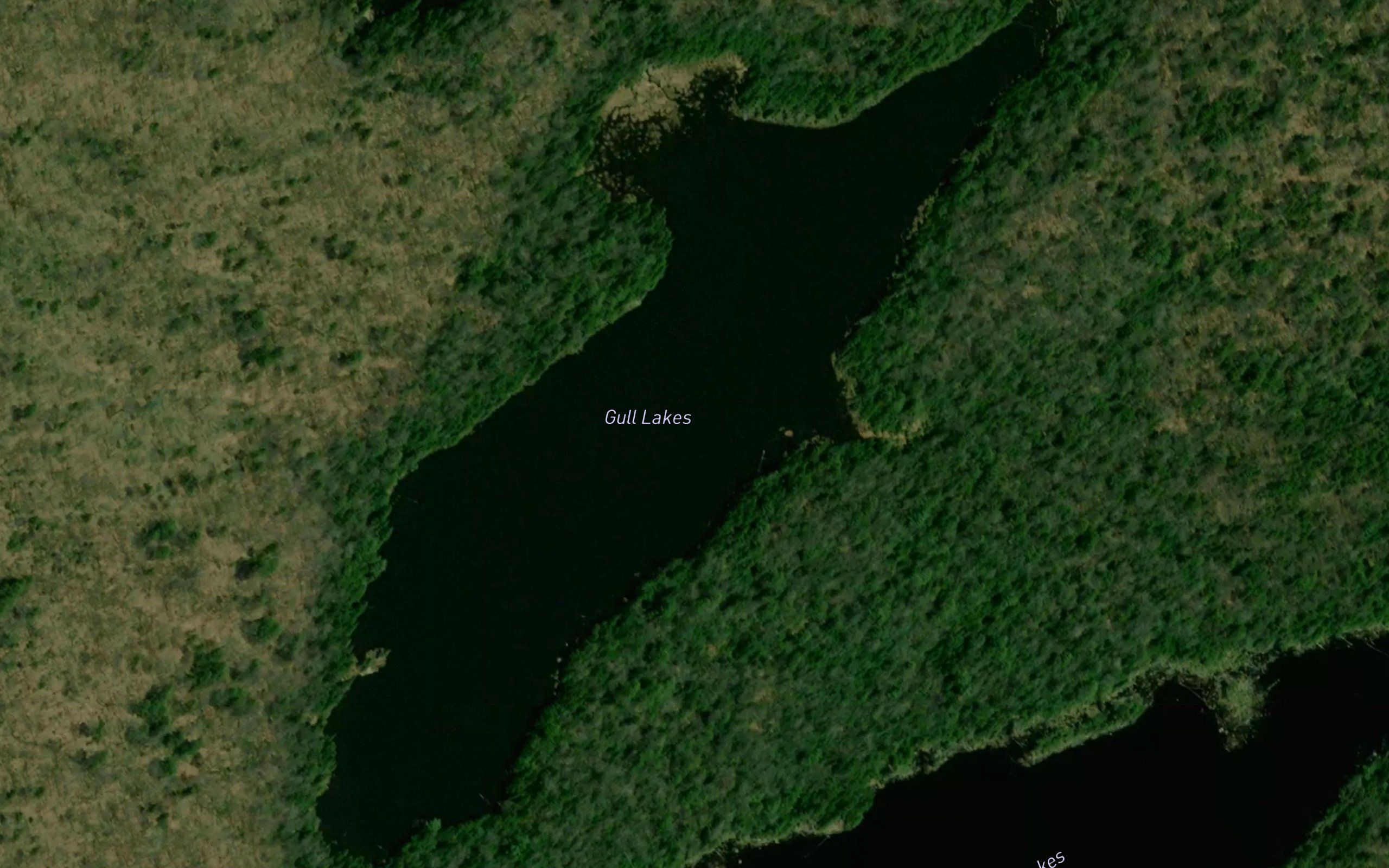 Gull Lakes