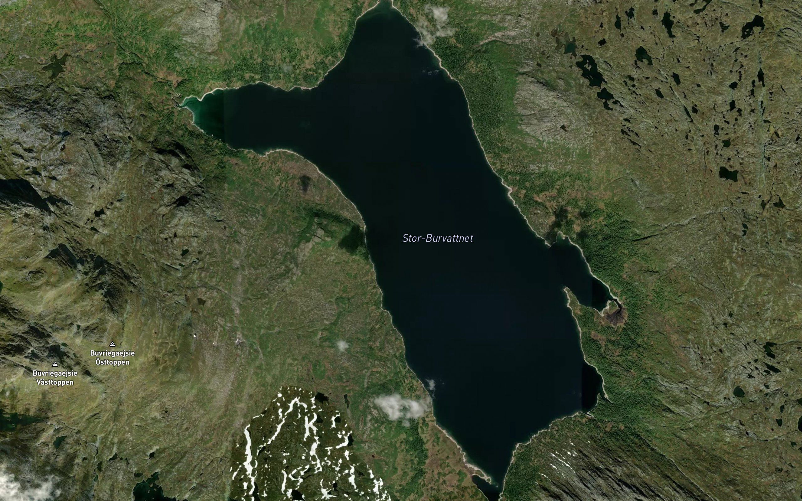 Svykeljokk